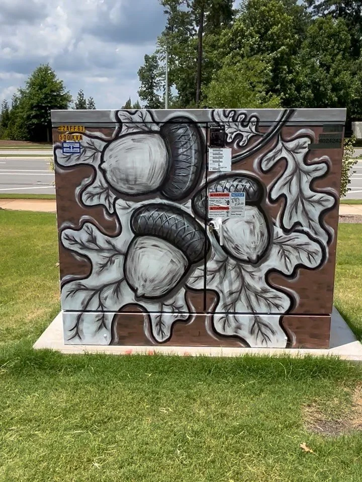 The mural by @mmzartistry looks amazing! Thank you, Michelle for lending your talent to bring some art to Oakview. #localartist #mural #oakviewcommonsnc #hollysprings #hollyspringsnc