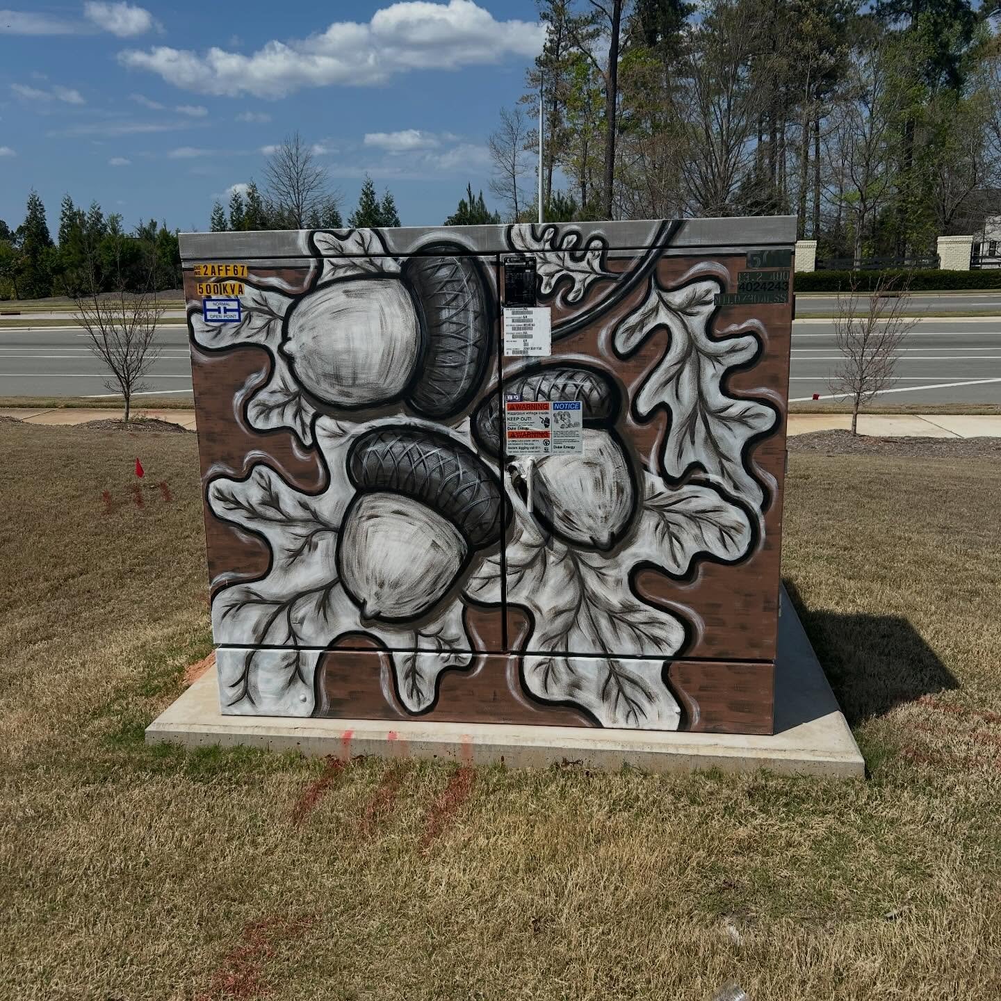 We are sad to share that Duke Energy is requiring us to paint over this amazing mural in order to return the transformer to its original state. We are so thankful that @mmzartistry was able to create such amazing artwork for Oakview and we hope that 