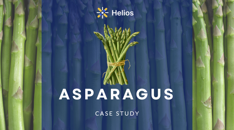 Helios Spotted Peruvian Asparagus Disruption Months Before Prices Went Up