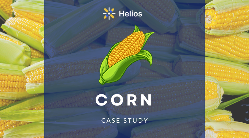Drought Conditions Slash U.S. Corn Yields, Sending Prices Soaring