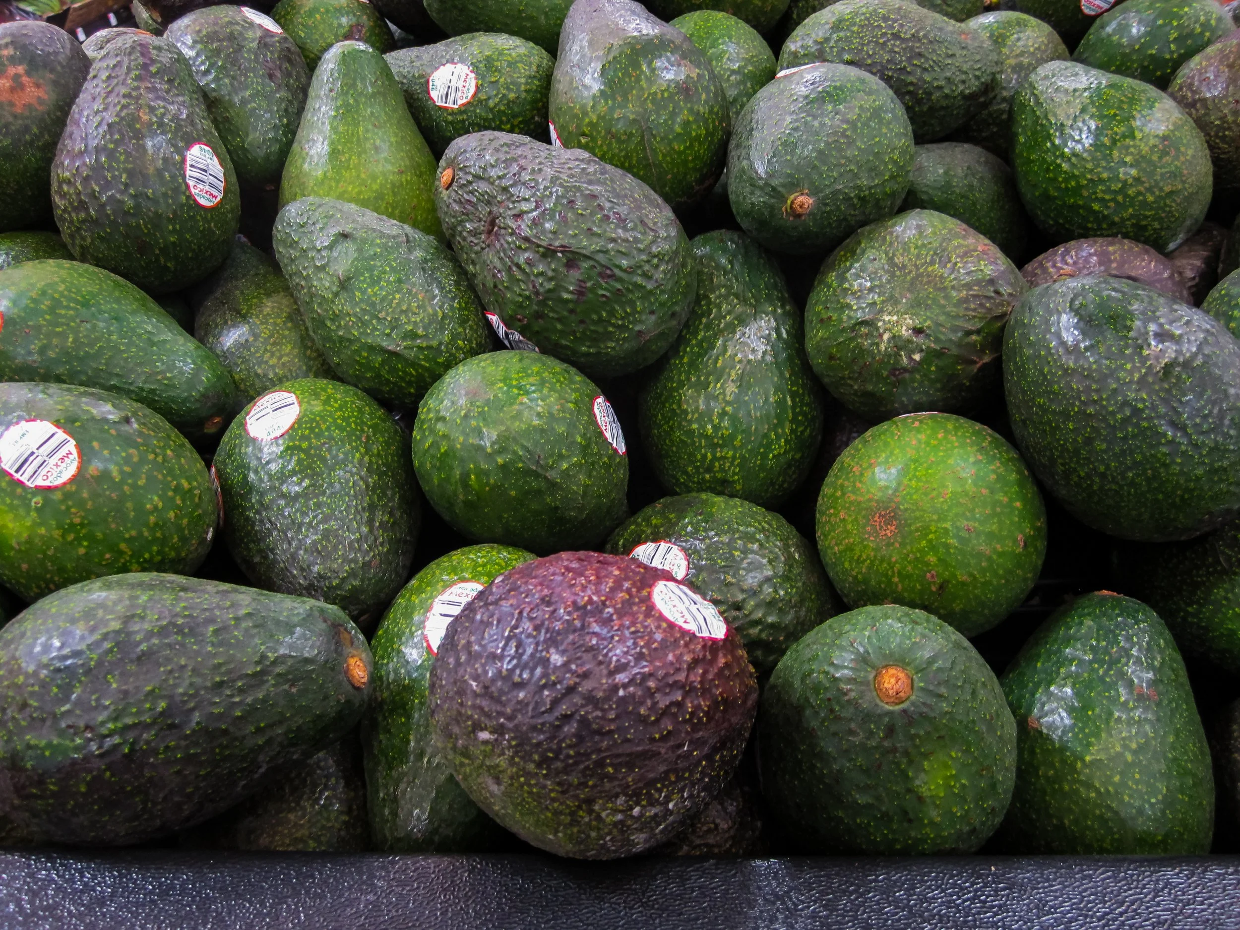 Guatemala’s Avocado Ambition: America’s New Alternative Supplier?