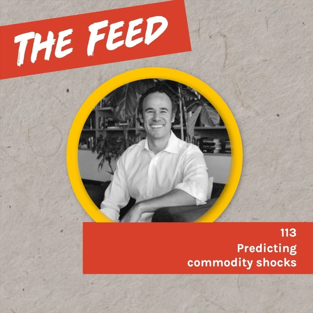 Podcast cover - The feed 113, predicting commodity shocks