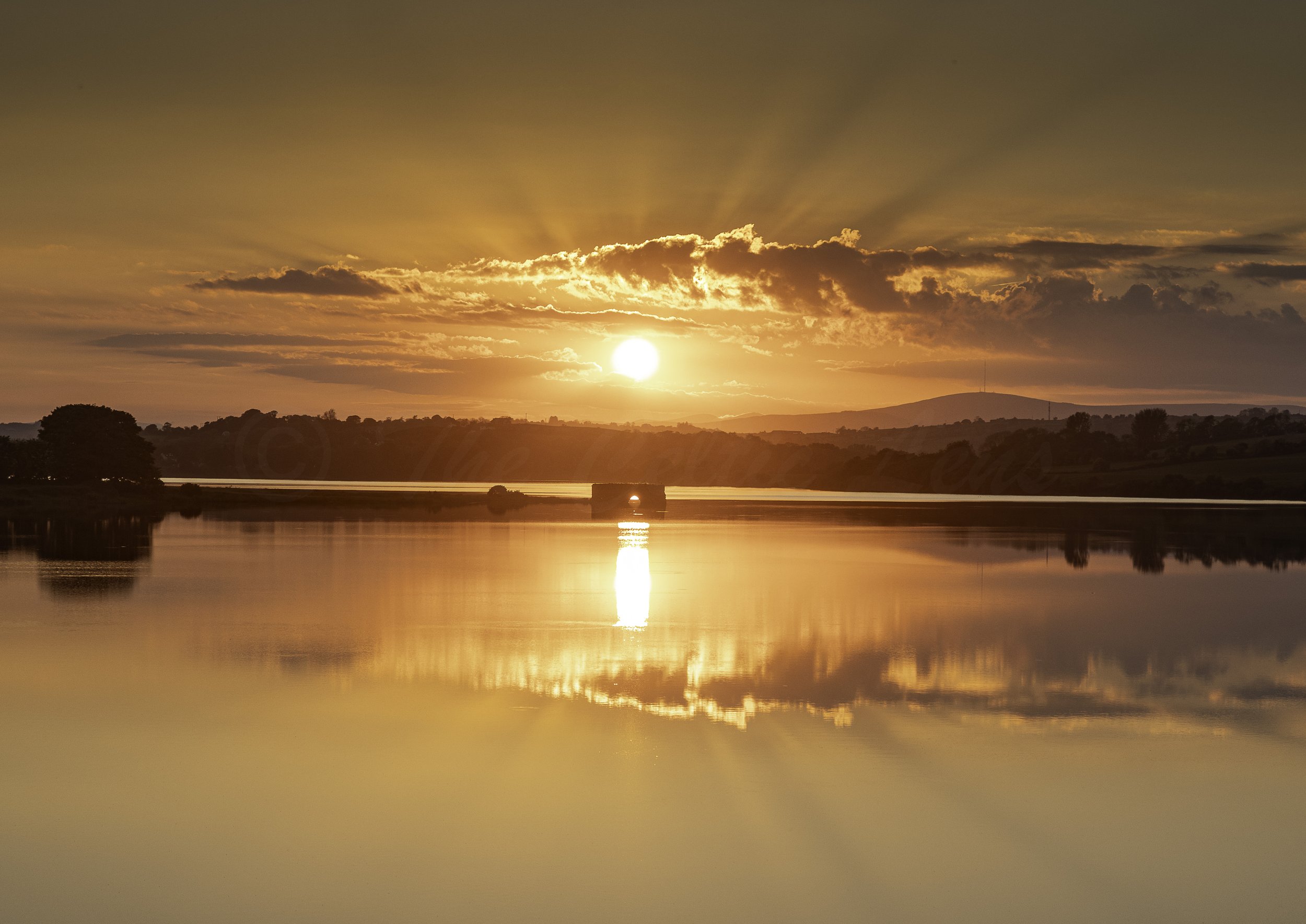 the bridge summer.jpg
