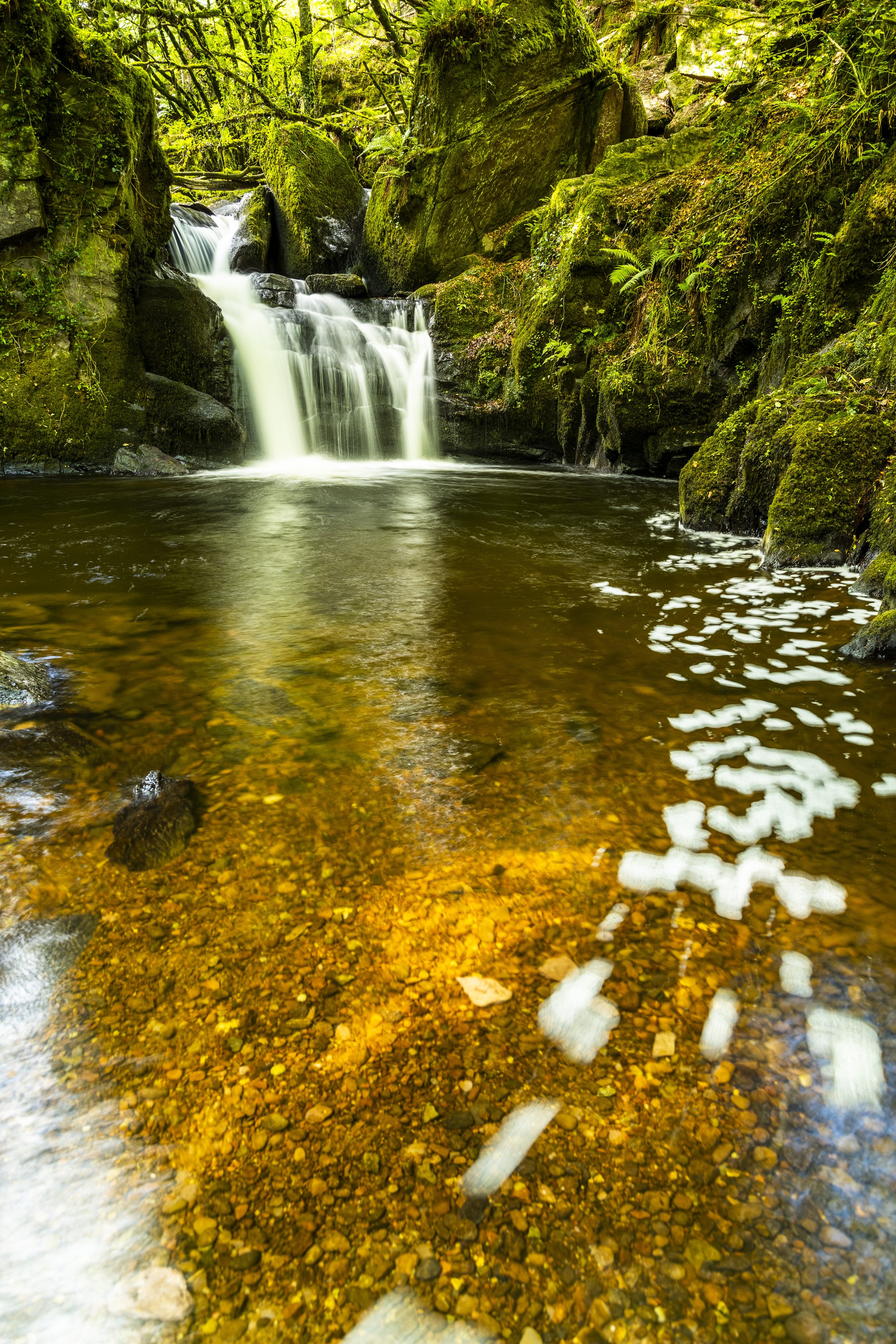 Waterfall Coachford.jpg