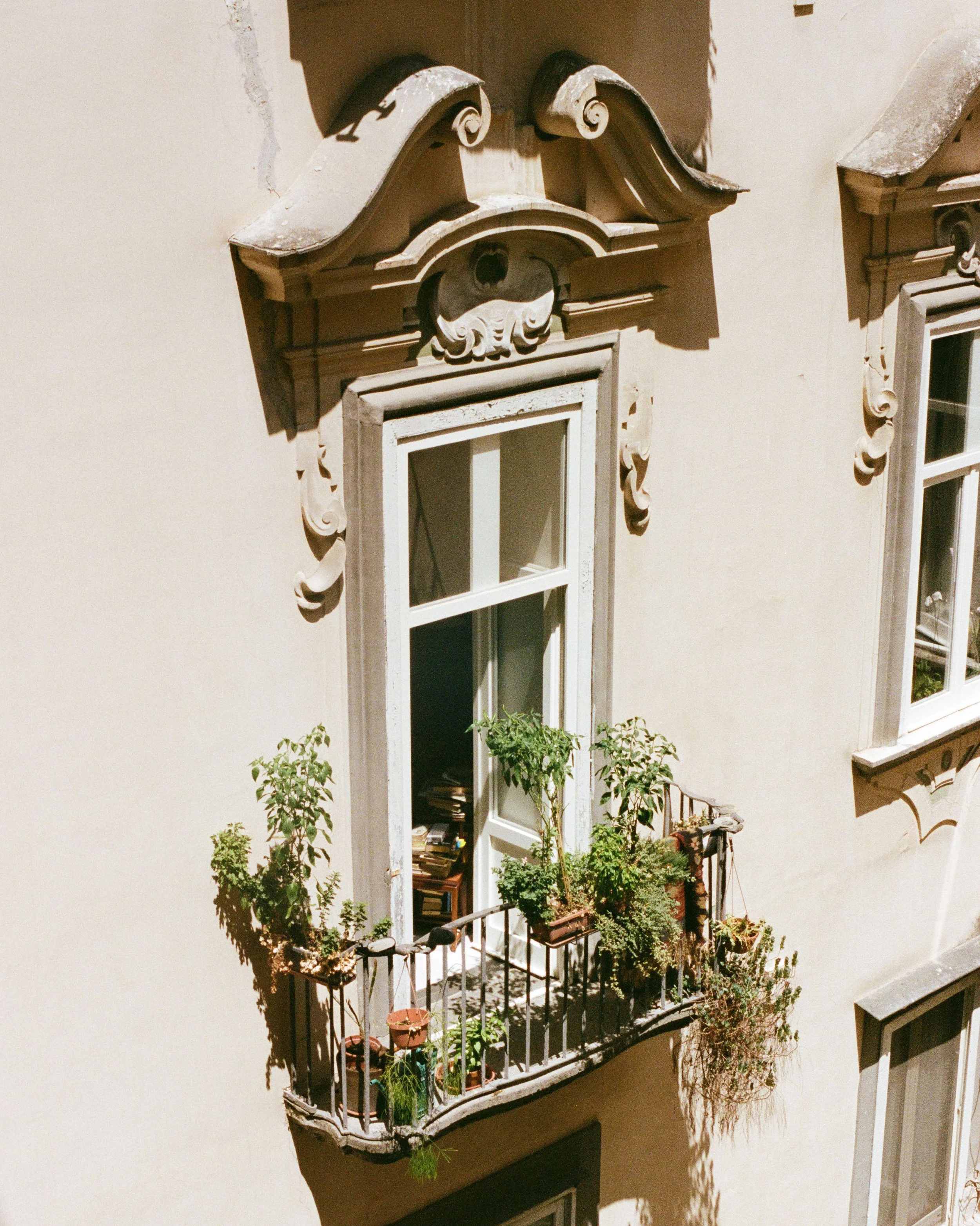 compressed (18).jfif