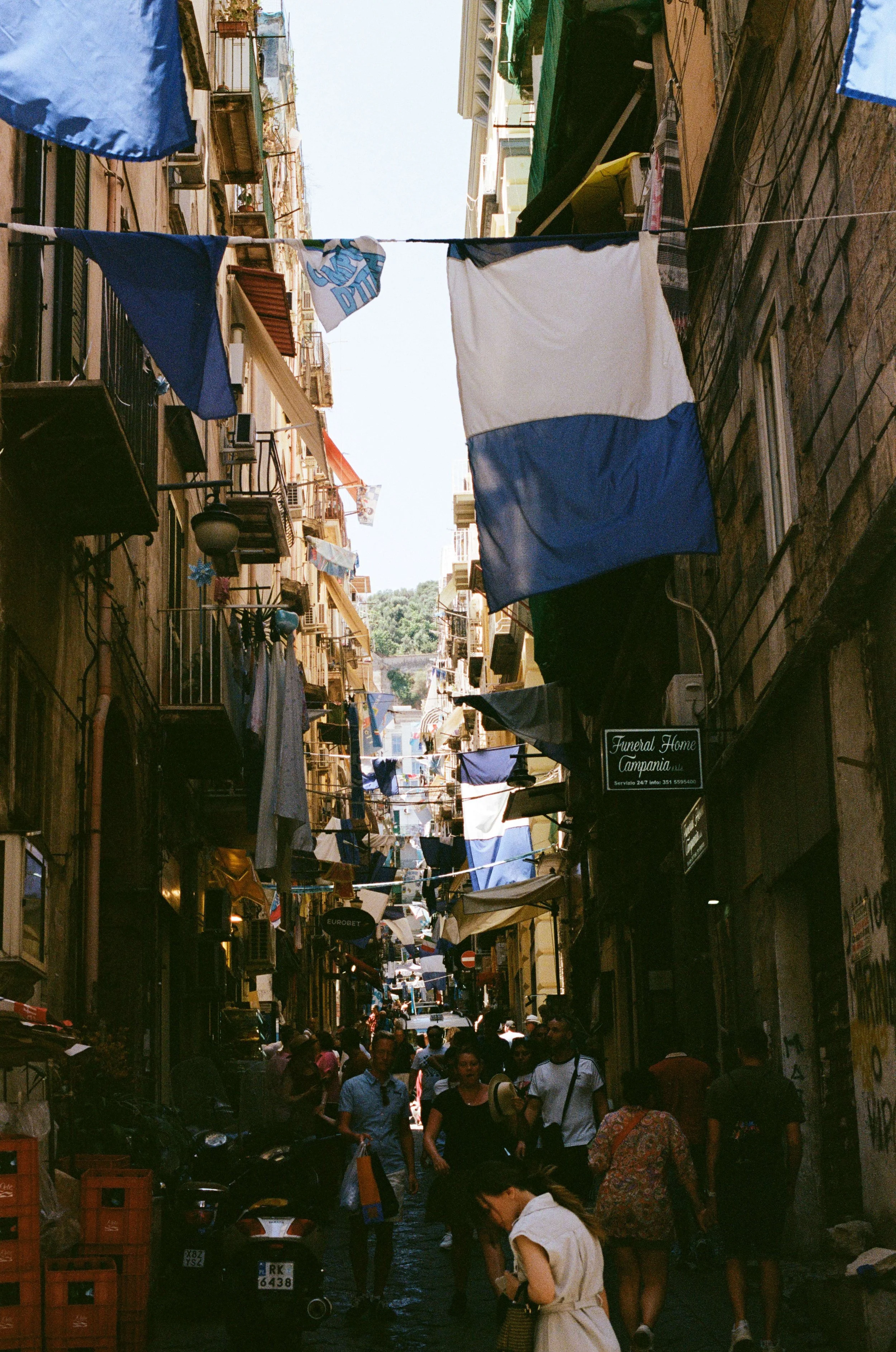 compressed (12).jfif