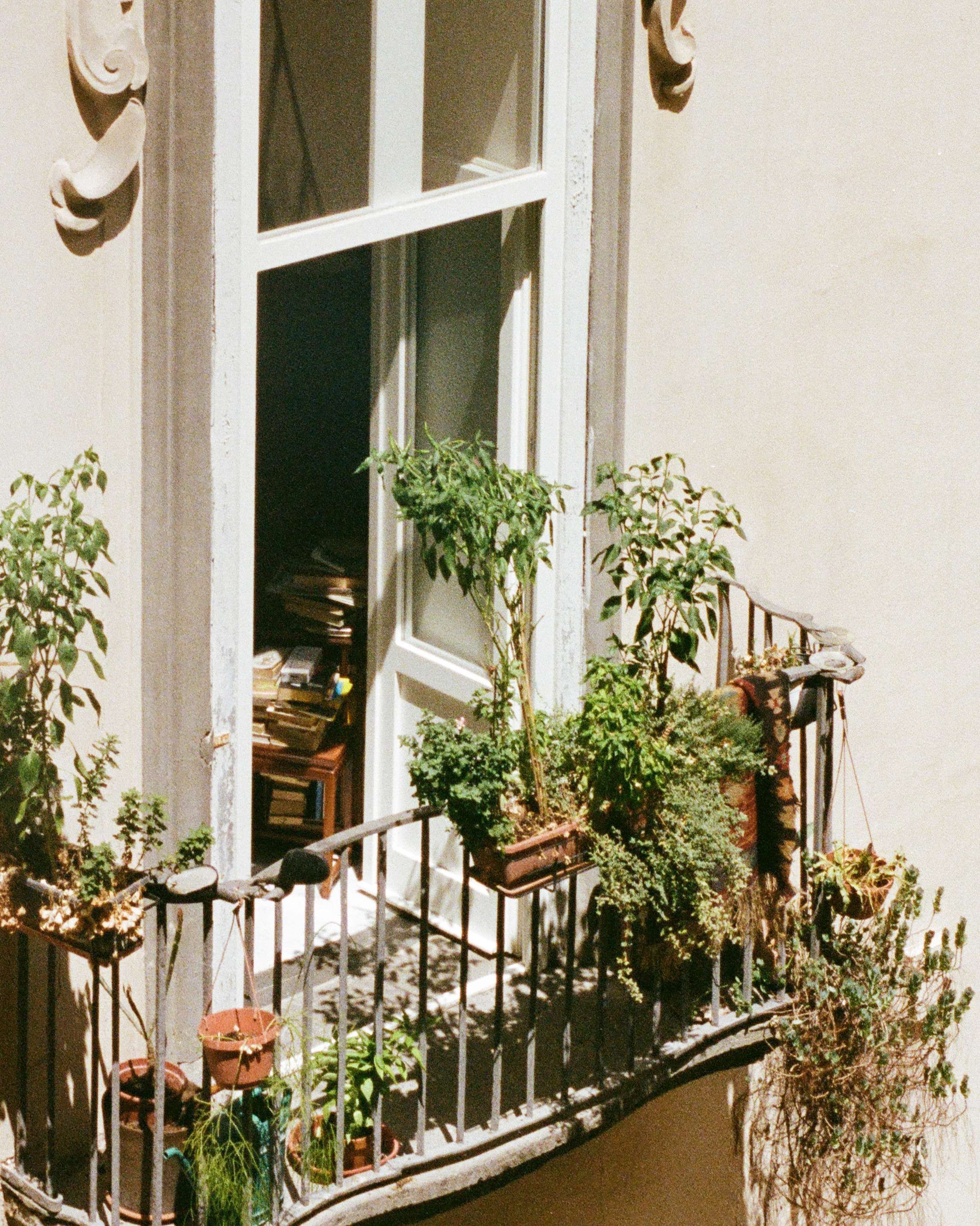 compressed (17).jfif