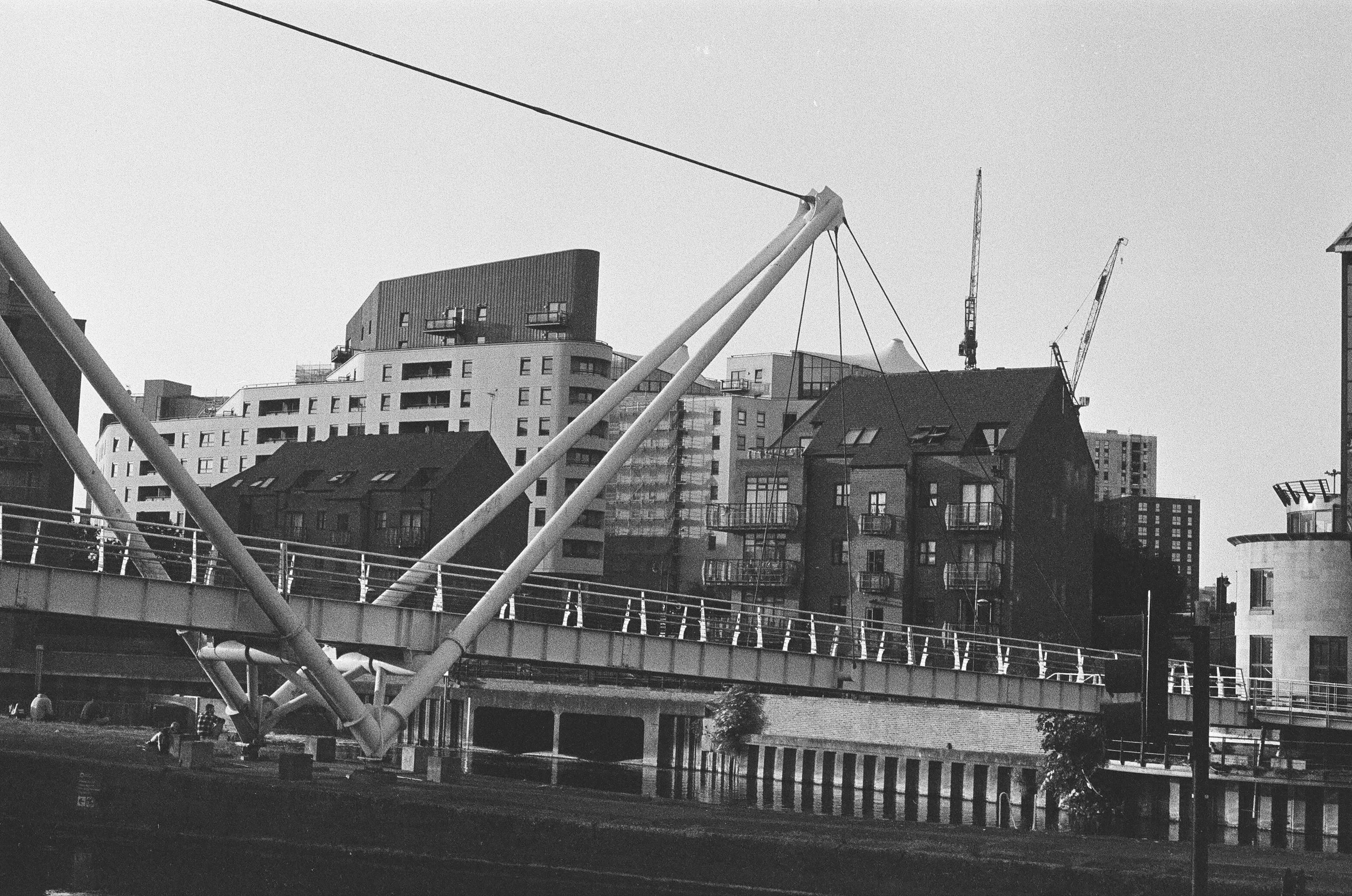 740019680011.jpg