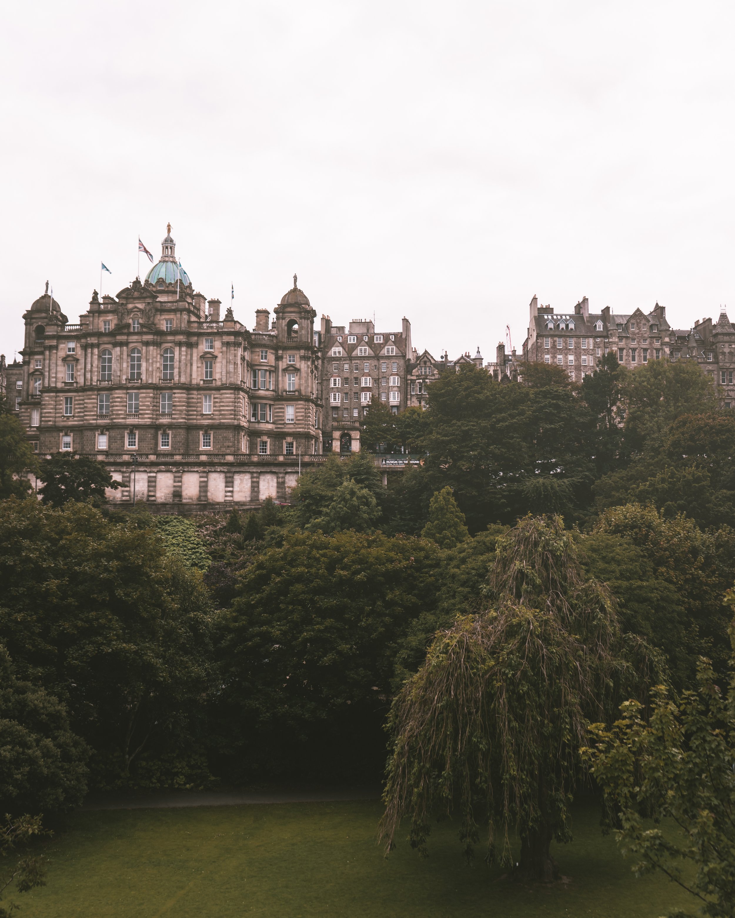 DSC01527-3.jpg