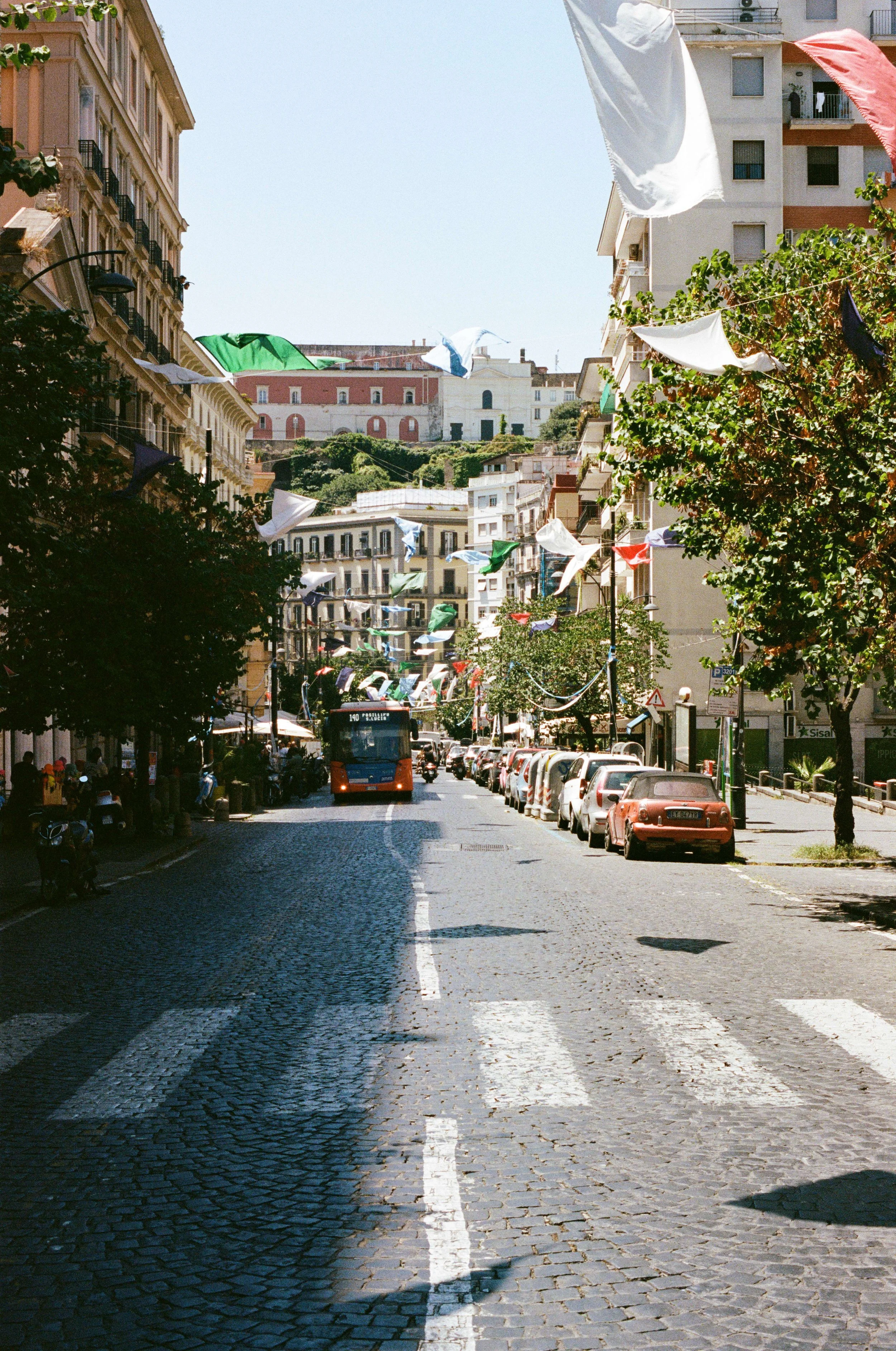 compressed (20).jfif