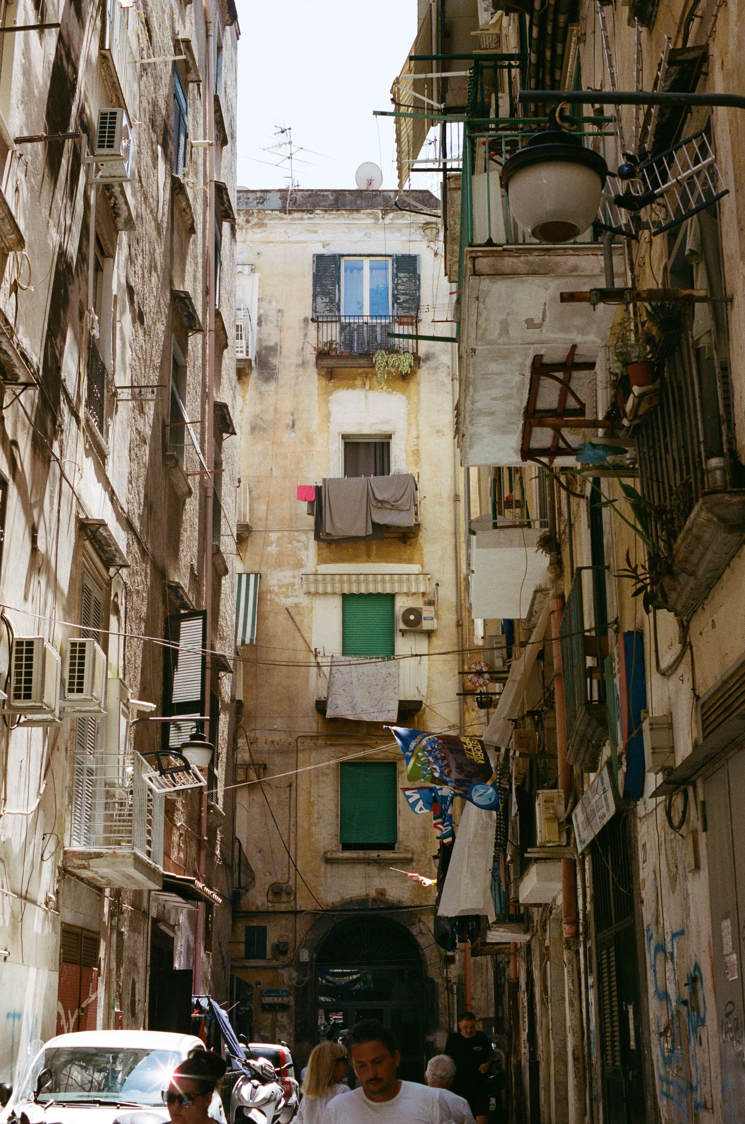 compressed (11).jfif