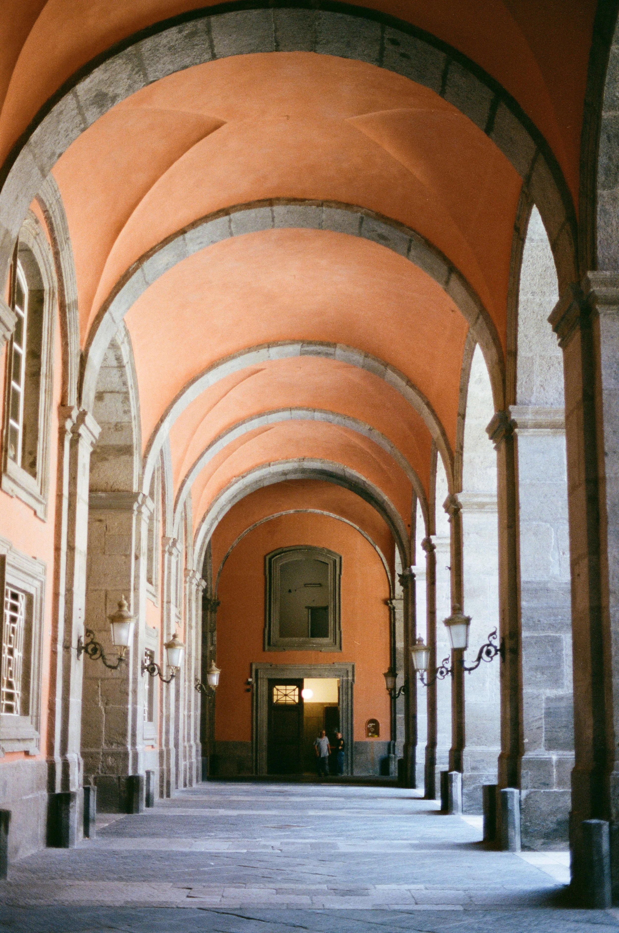 compressed (22).jfif