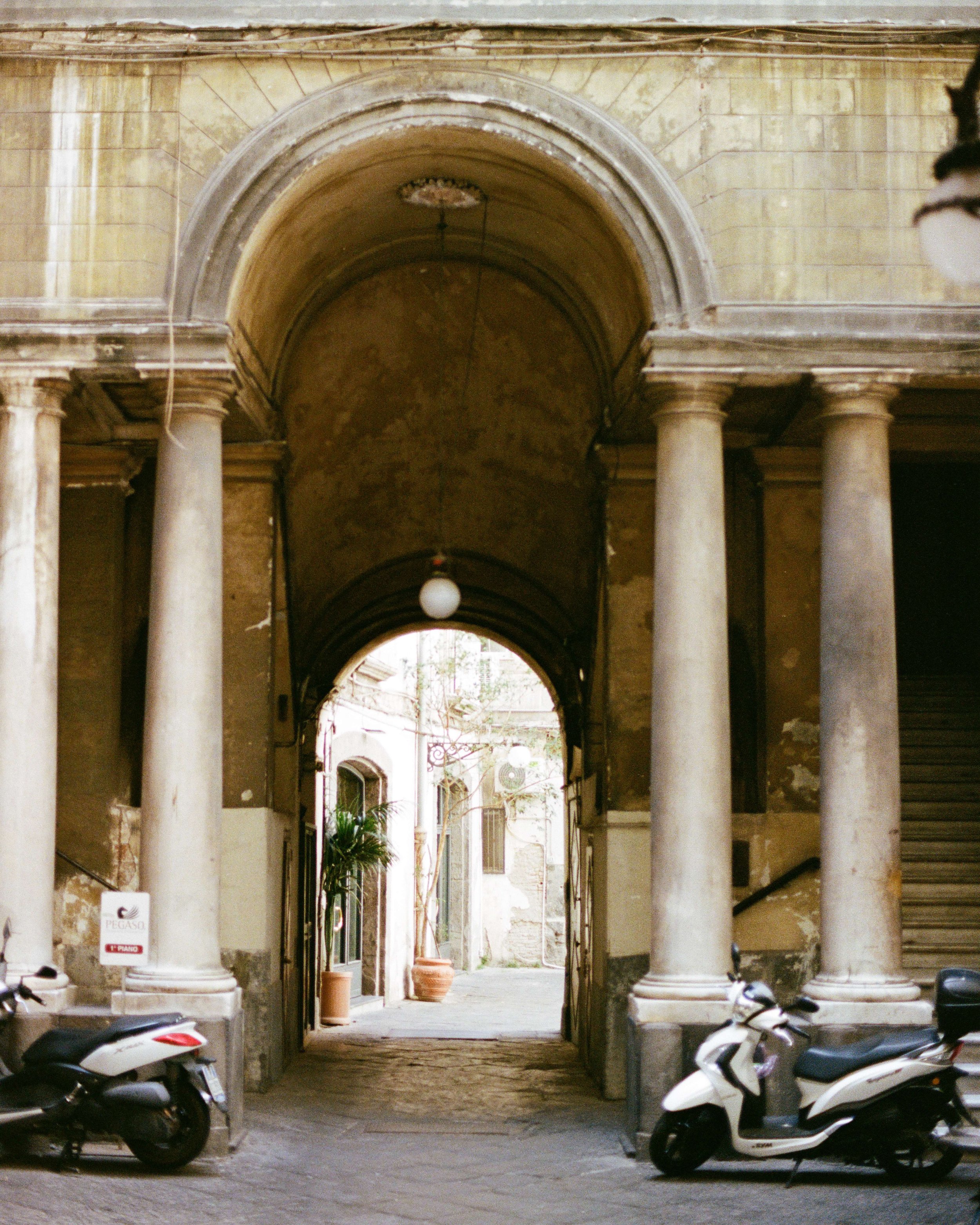 compressed (16).jfif