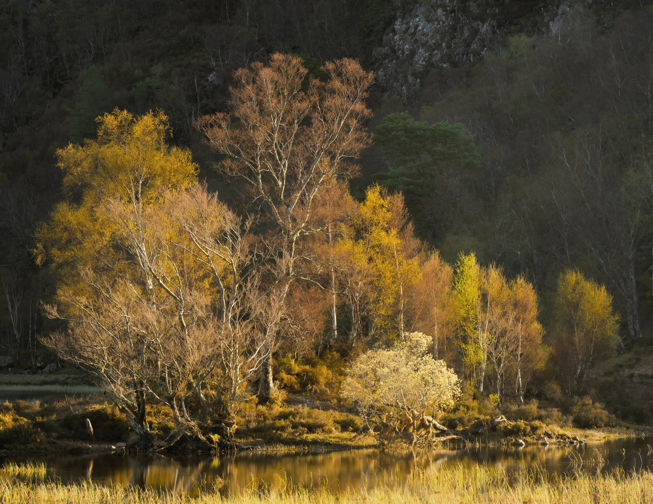 Coulin Colour 1.jpg