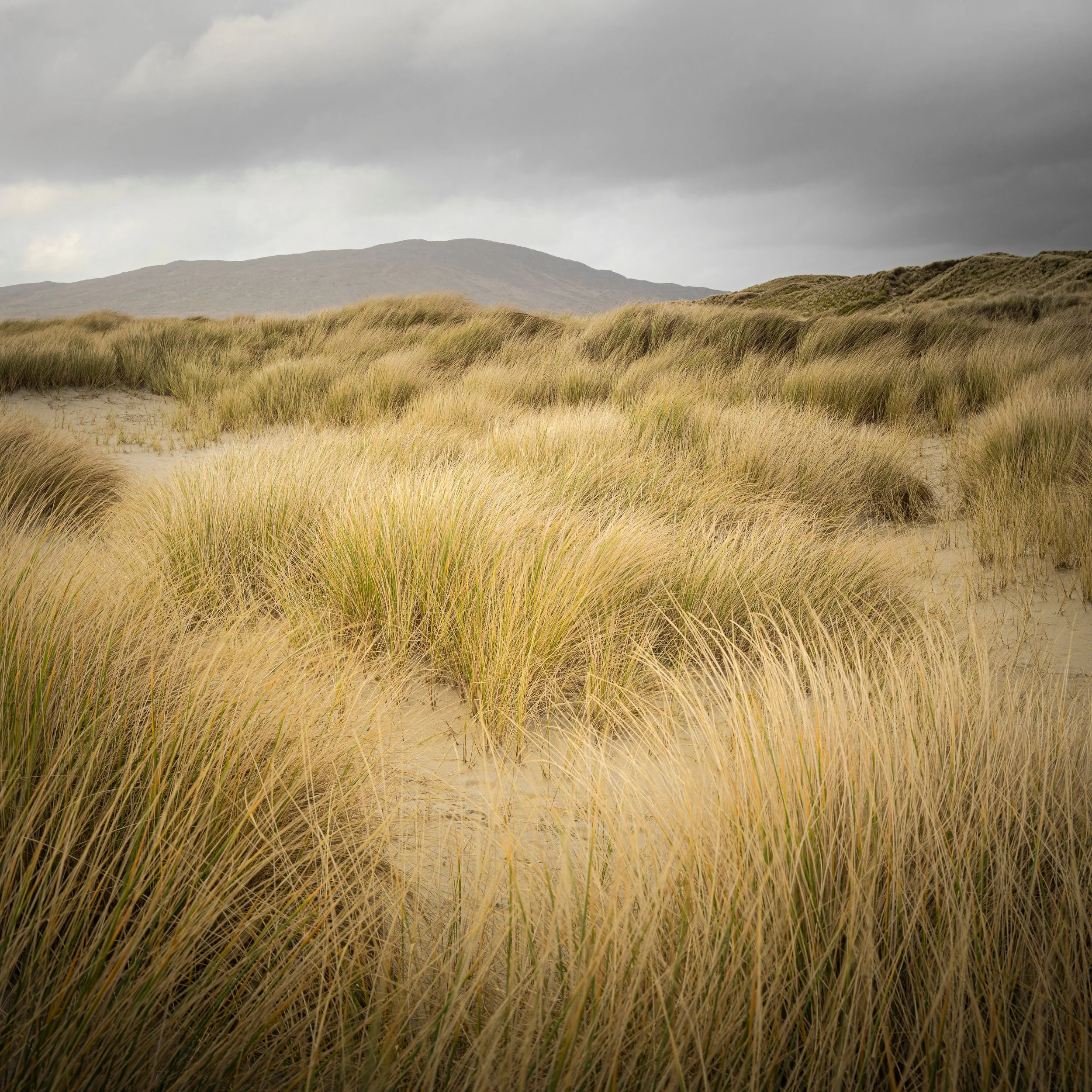 Luskentyre Dunes V.jpg