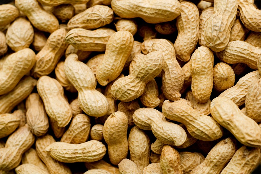 Food Corn Peanuts 2.jpg