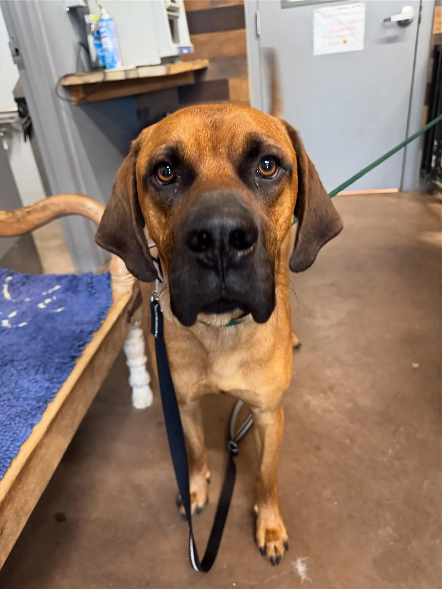 Found in Ponoka County 