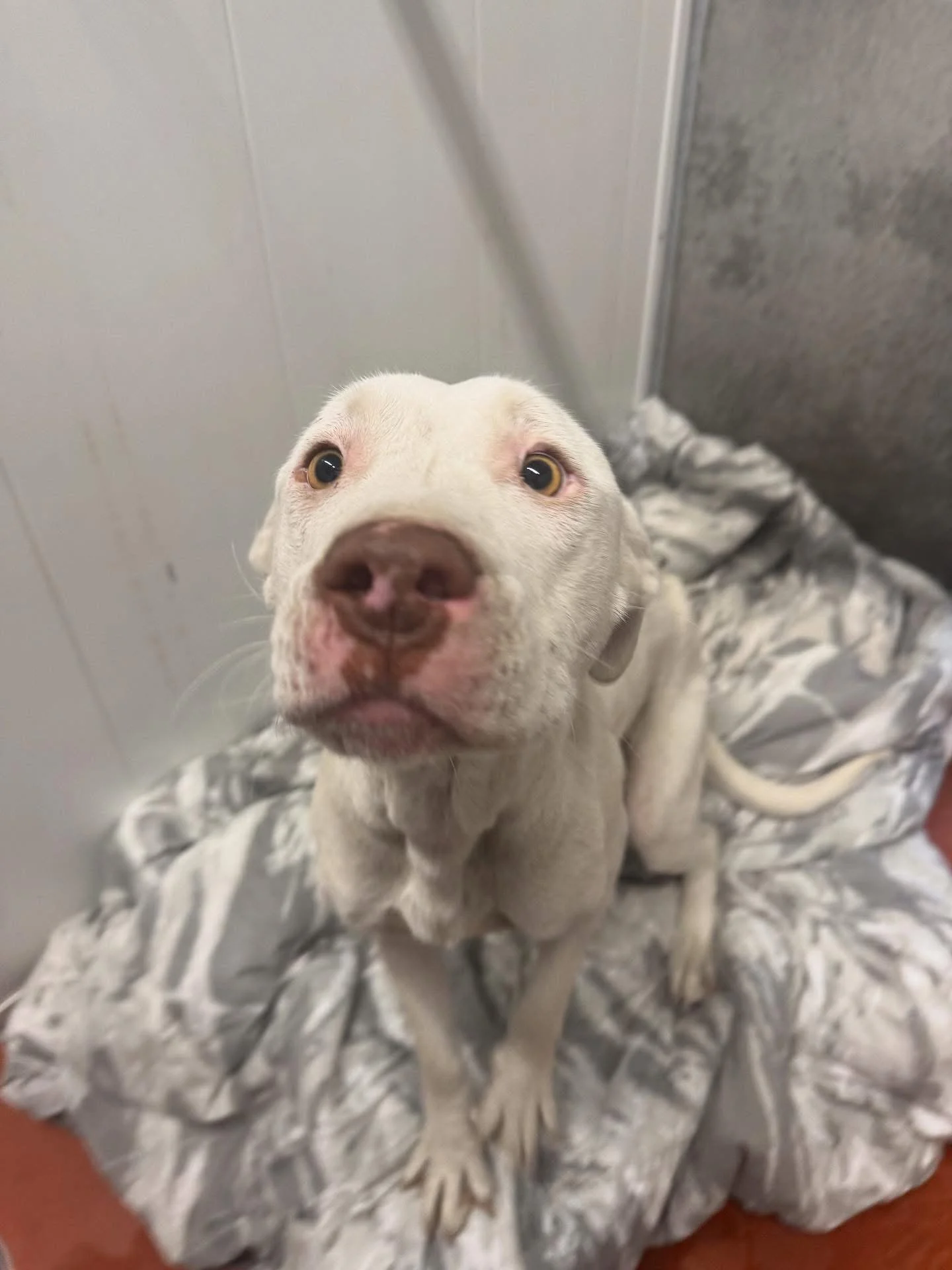 Found in Ponoka County