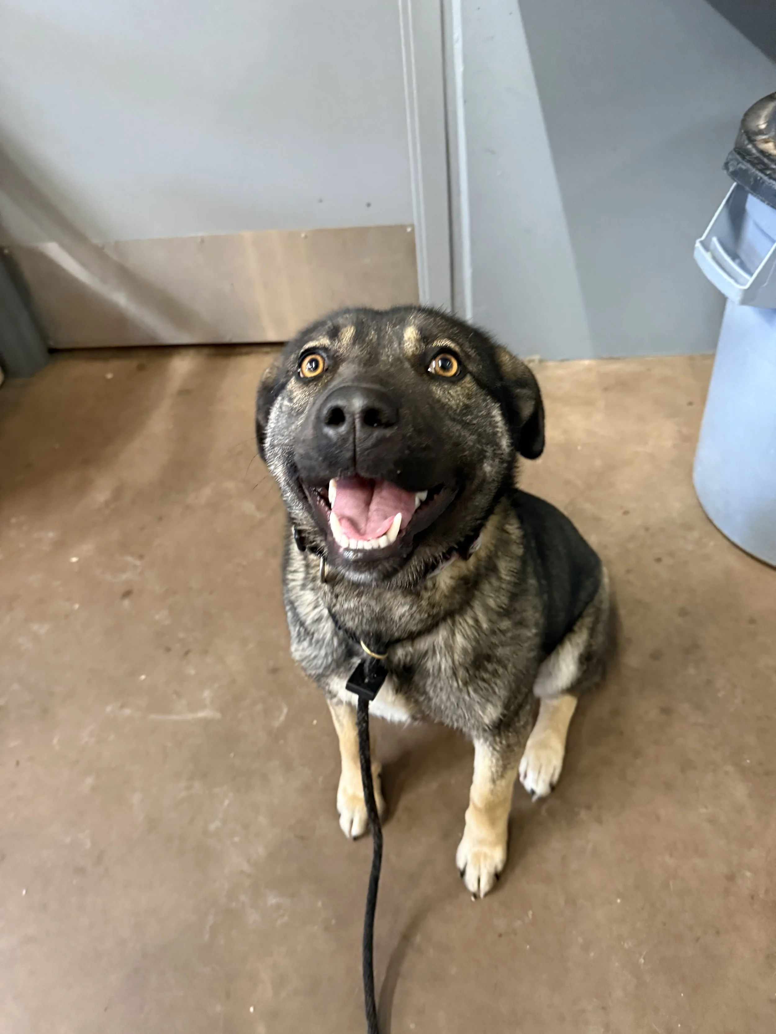 New intake Maskwacis 
Feb 22 