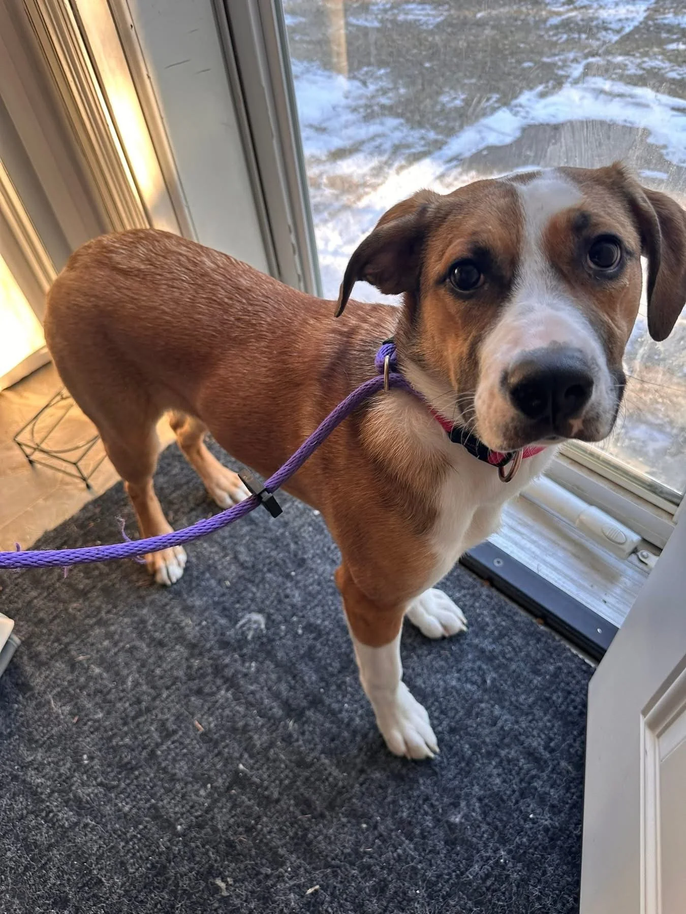 Ponoka County intake Feb 28