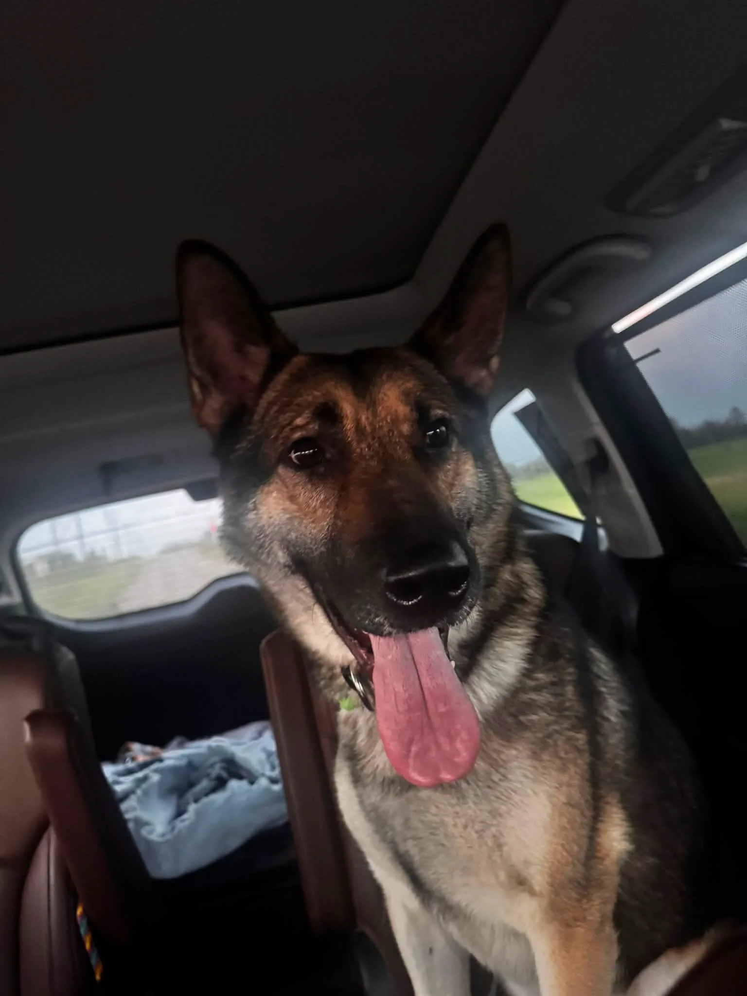 Found in Camrose County July 9