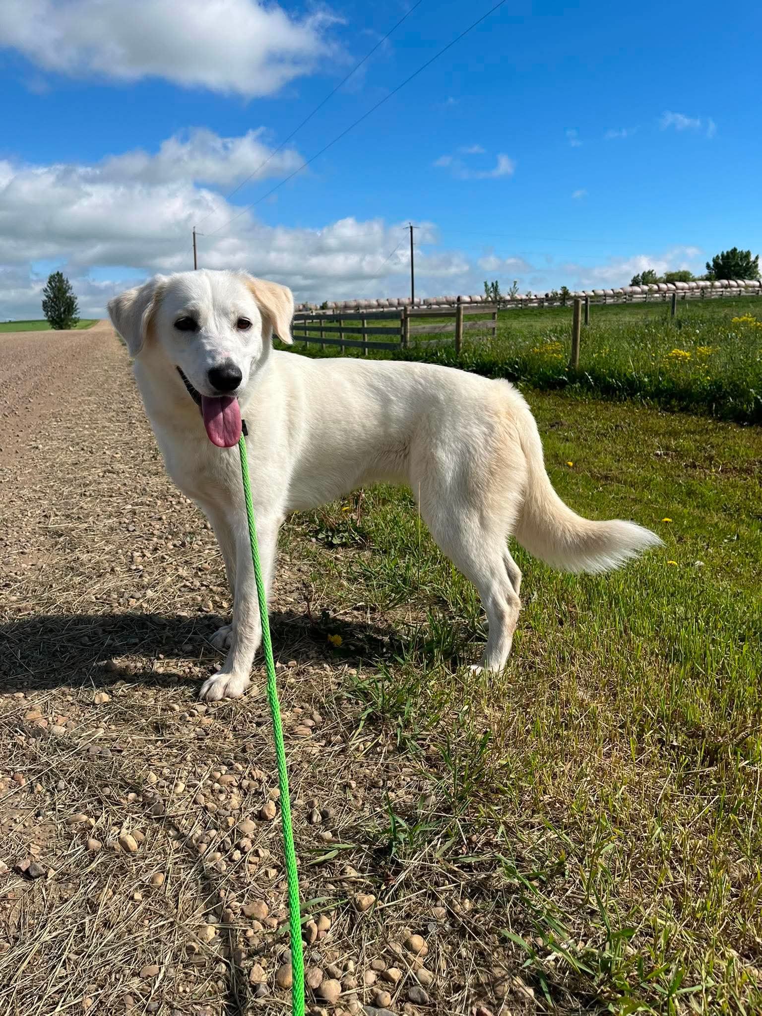 Found Stettler County