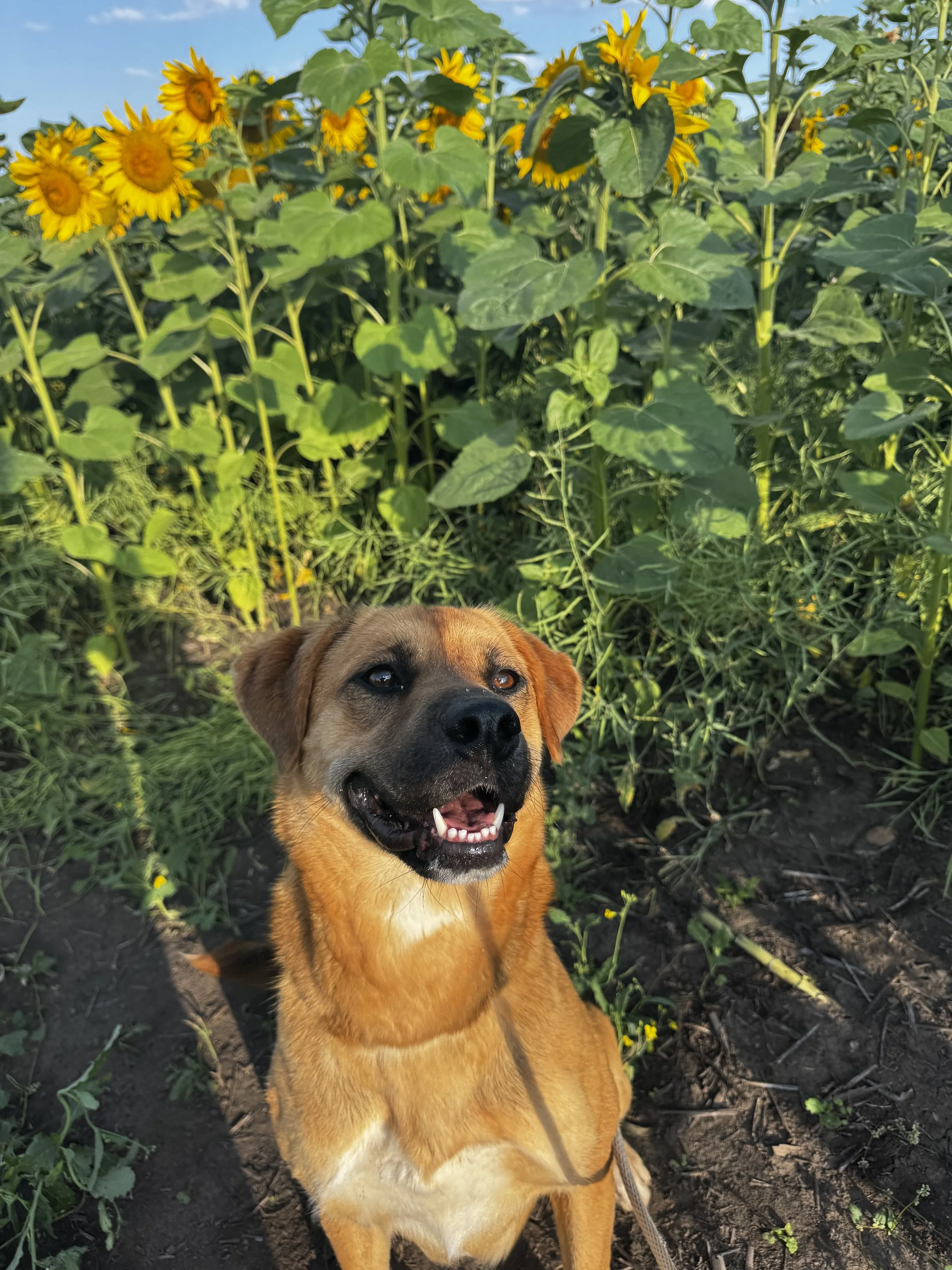 Jane 💞🐾