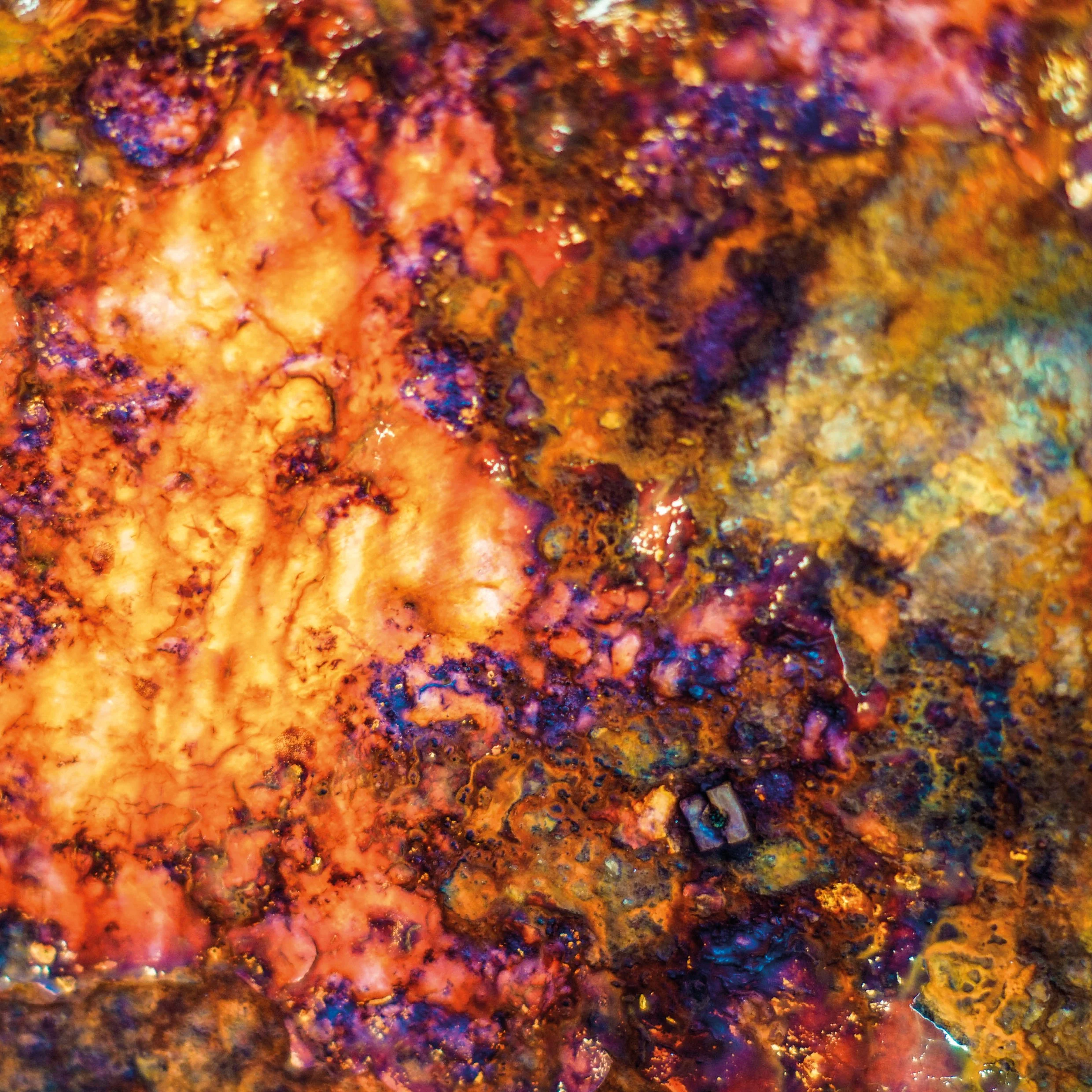 EXPO_print_17,5x17,5cm_NEW_NEW26.jpg