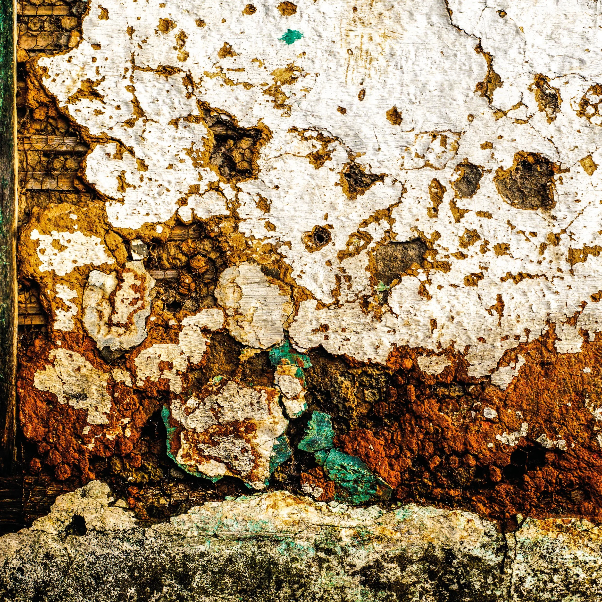 EXPO_print_17,5x17,5cm_NEW_NEW18.jpg