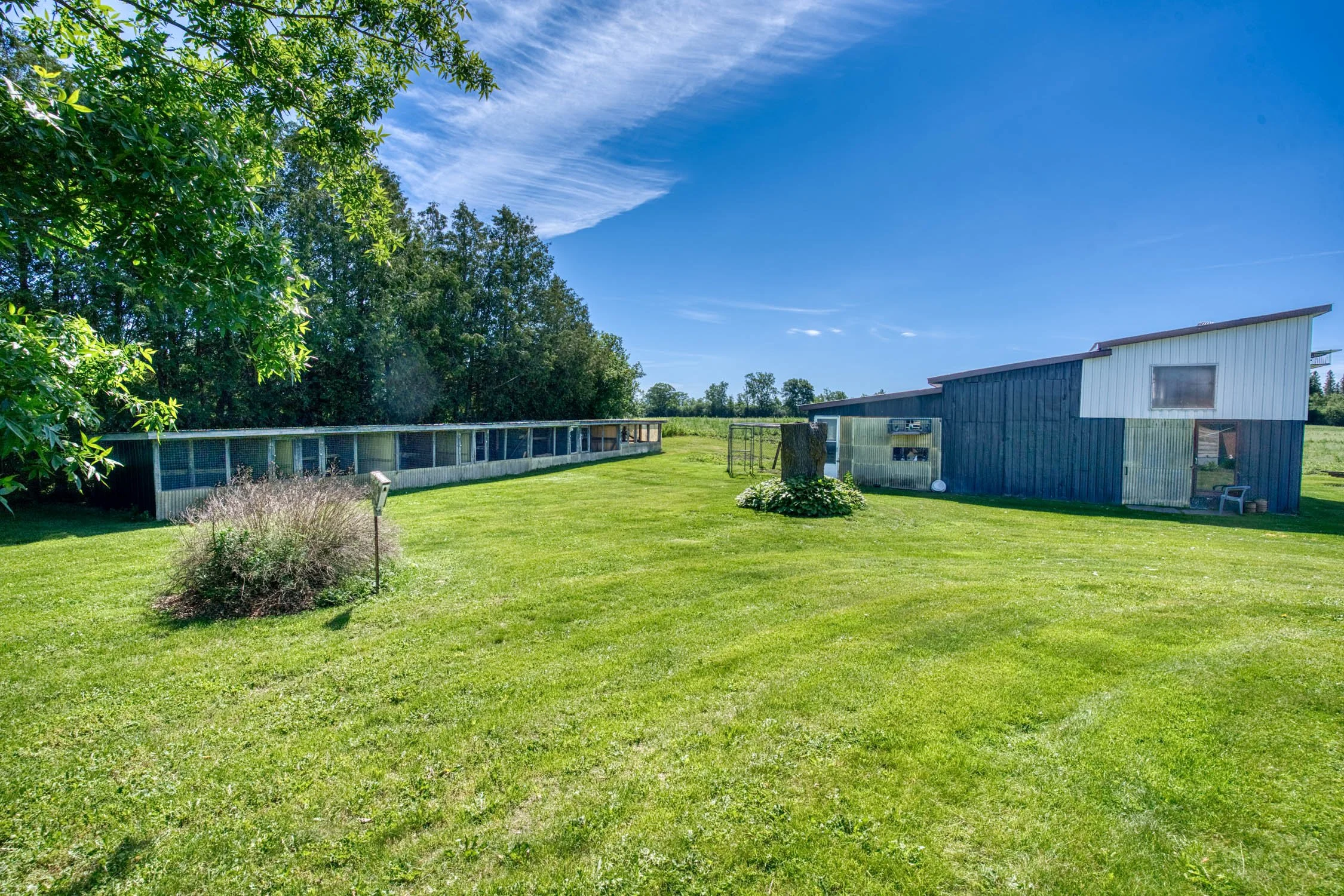 MCP-115.jpg