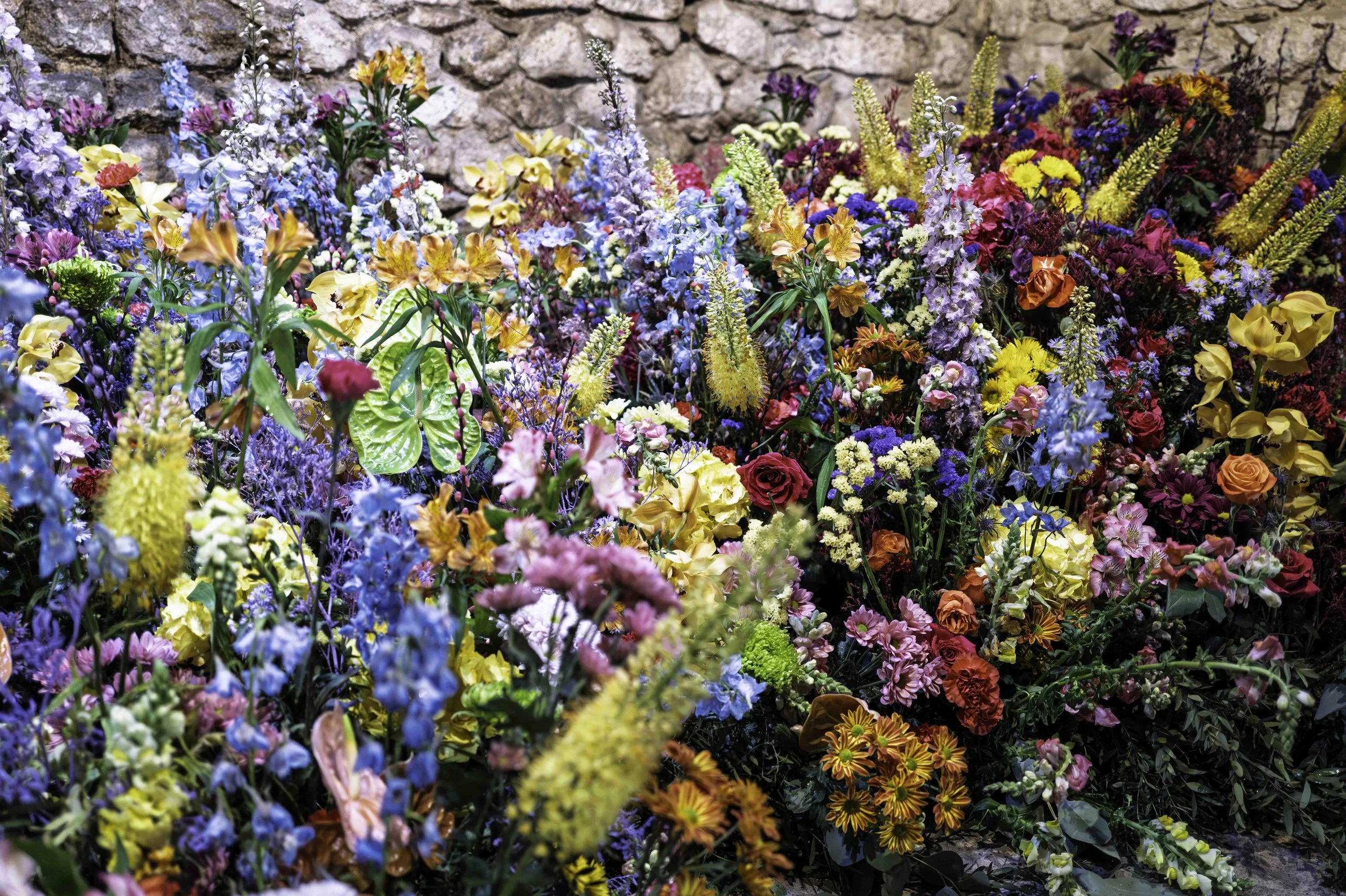 Temps de Flors — Girona in Full Bloom | bCLPhoto