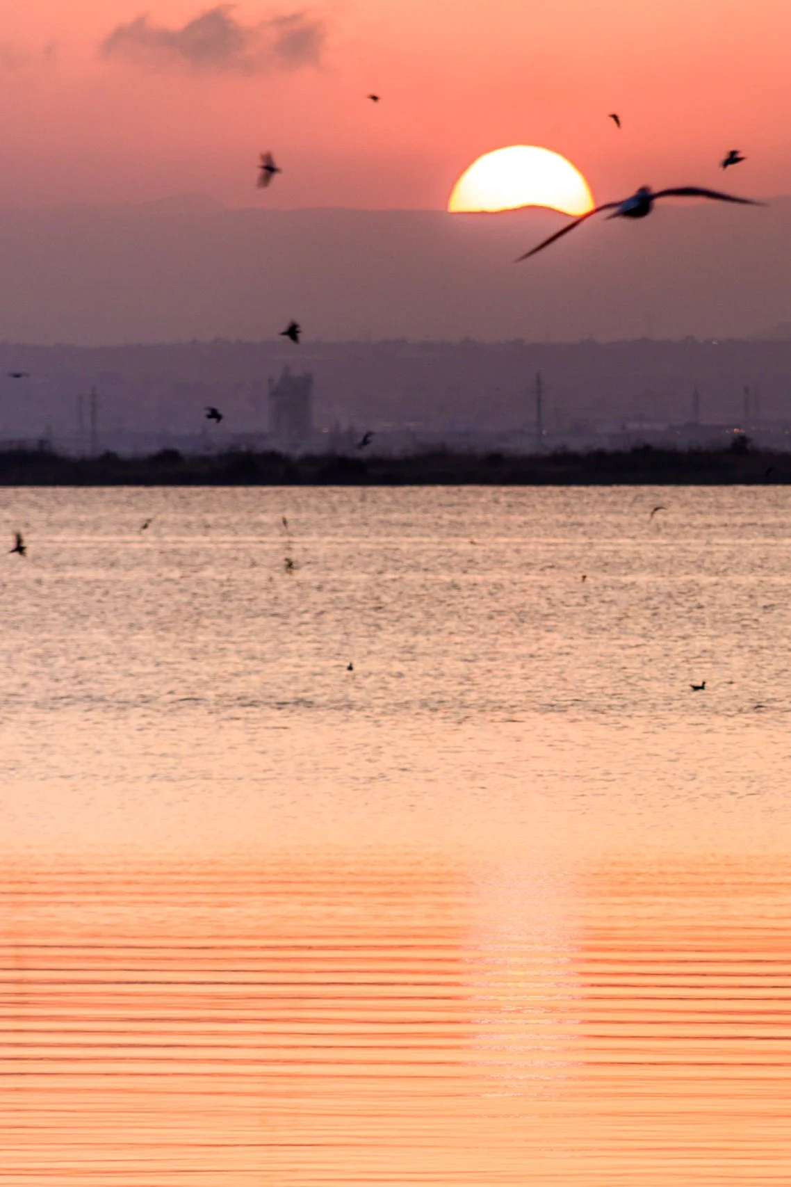 L'Albufera Sunset, Nature photography – bCLPhoto