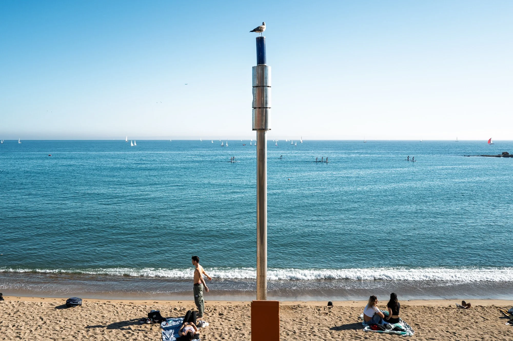 Seagull on a steel pole above Barceloneta beach, paddle boarders and sails on the sea — Leica Q3