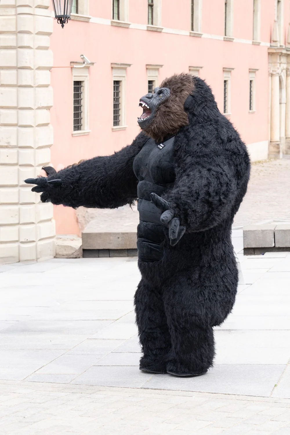 Performer in a gorilla costume roaring with arms spread in front of the pink Royal Castle, Warsaw — Sony a7R IV