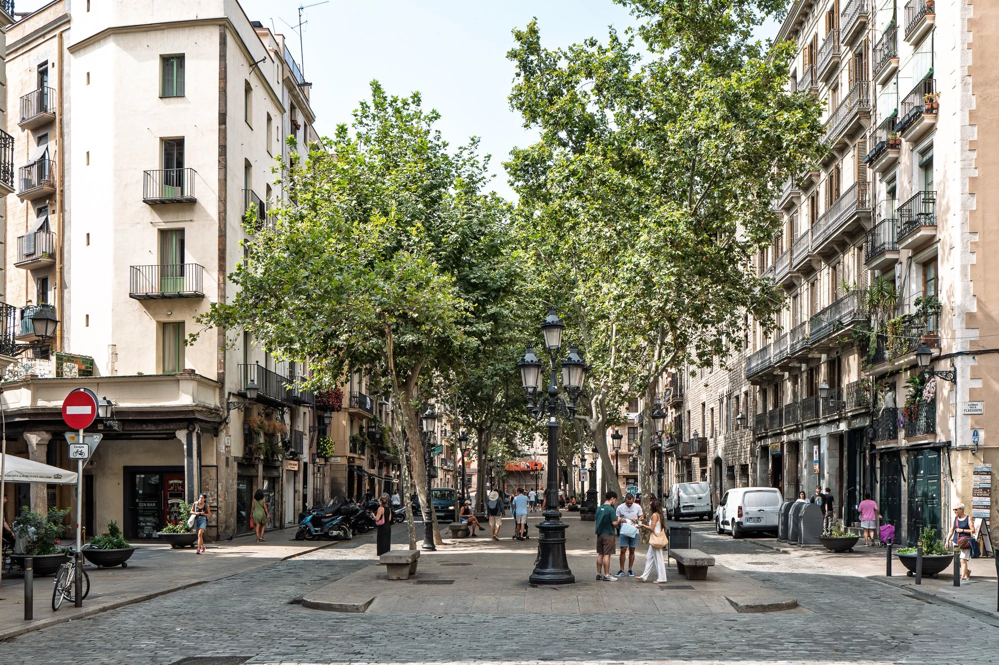 Plane trees and lamp posts along Passeig del Born, Barcelona — Leica Q3