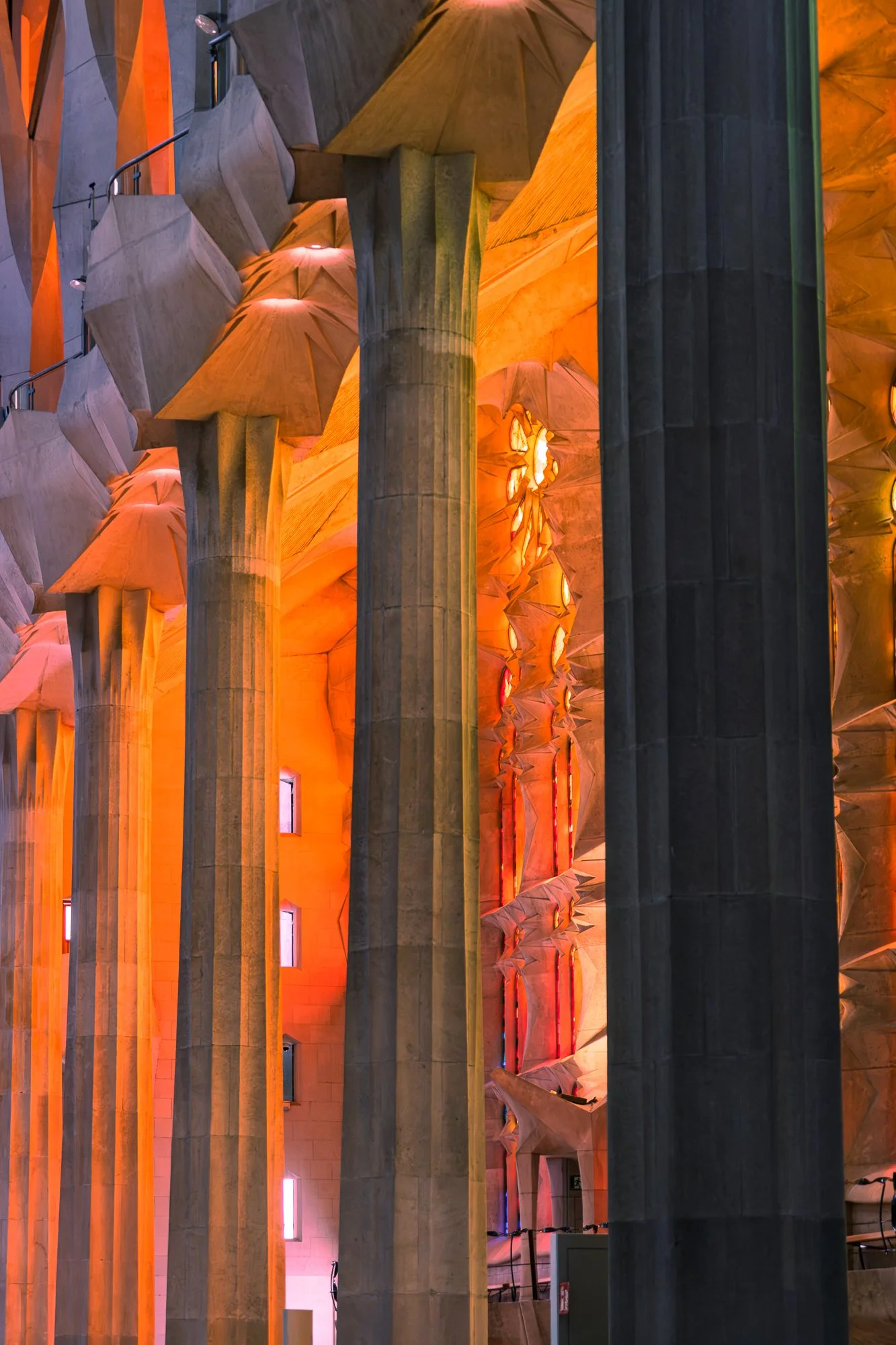 Row of Sagrada Família columns lit in warm orange light. Sagrada Família — bCLPhoto