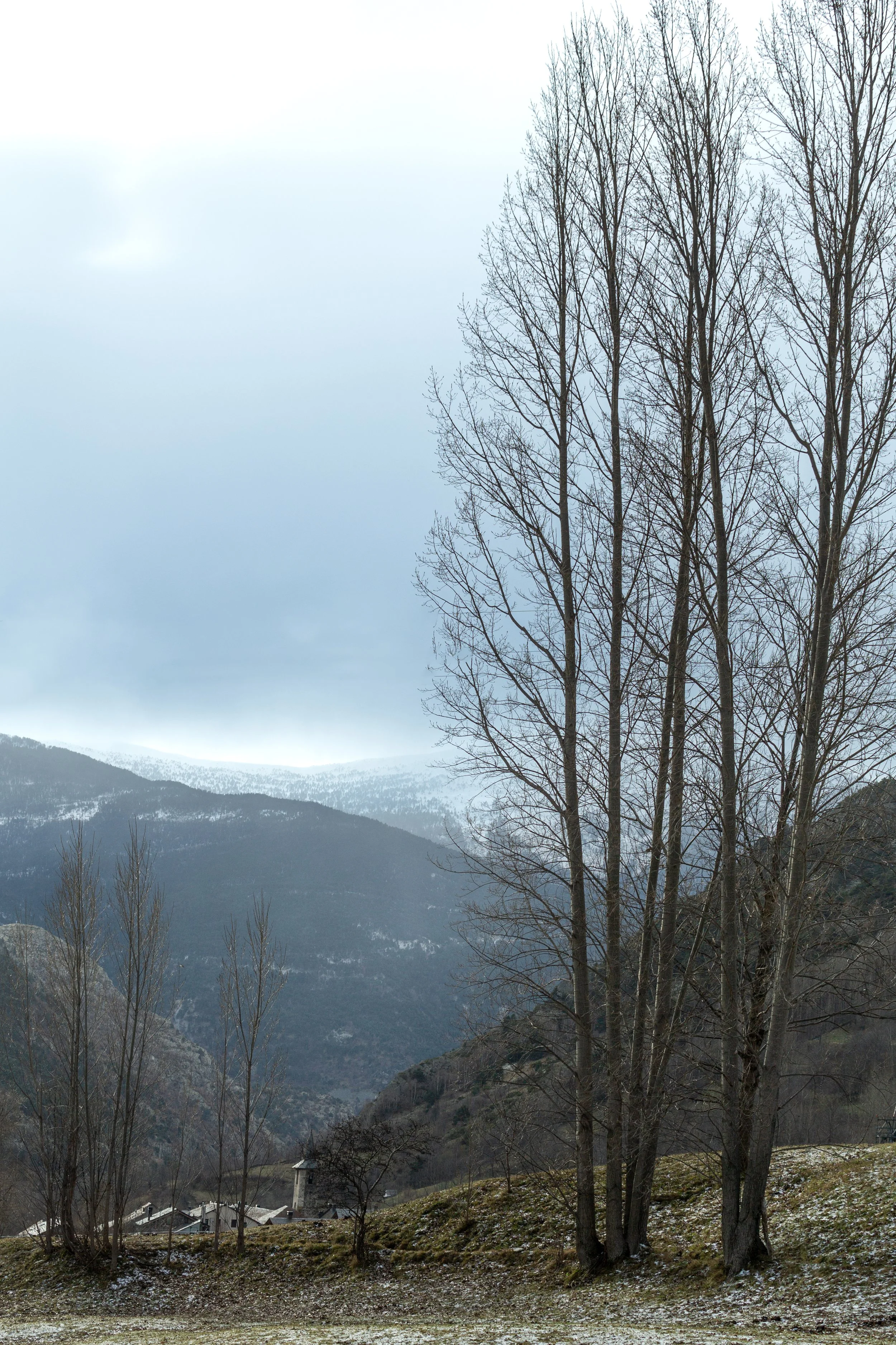 Nature photography. Catalonia – bCLPhoto