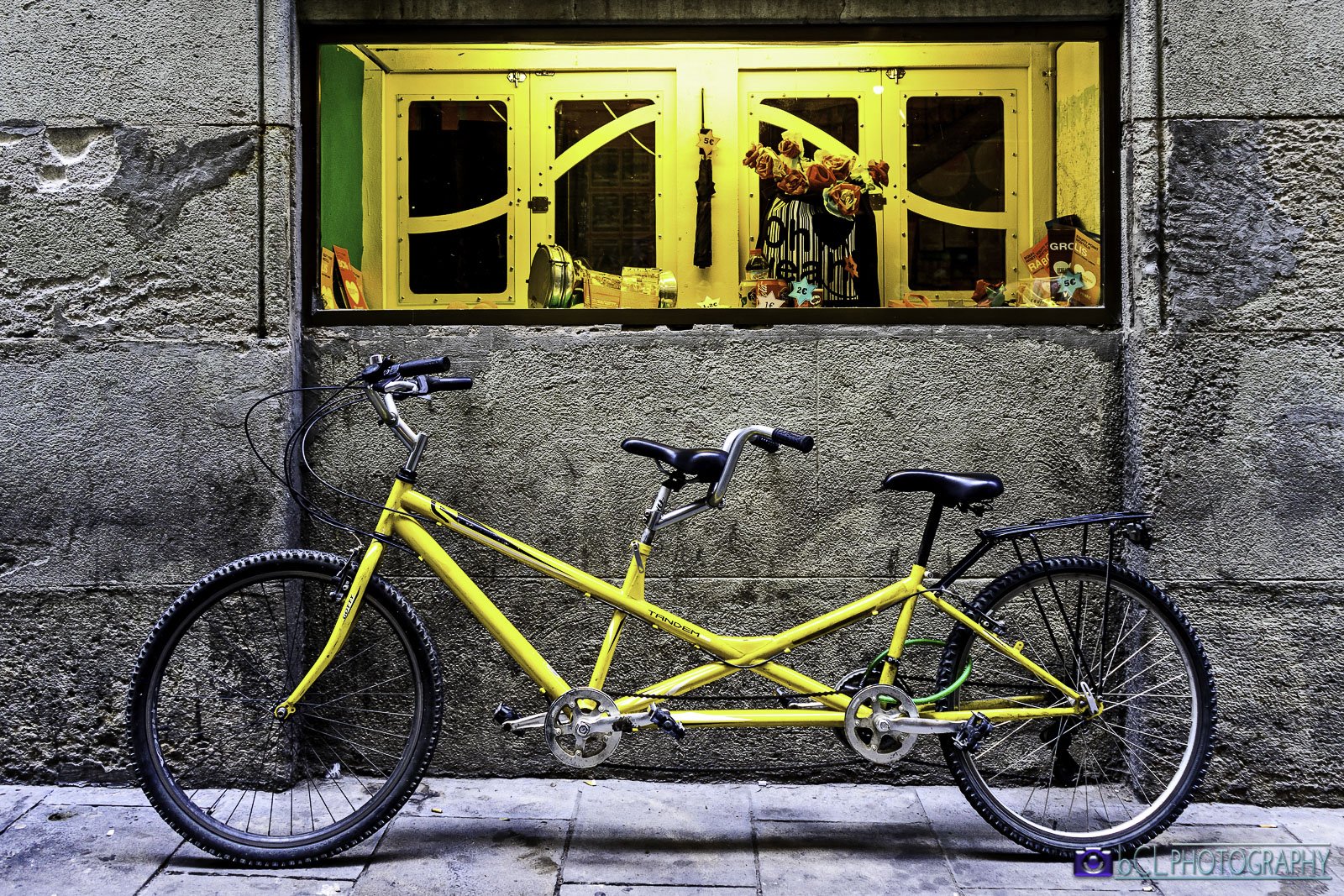 aesthetic Tandem bicycle