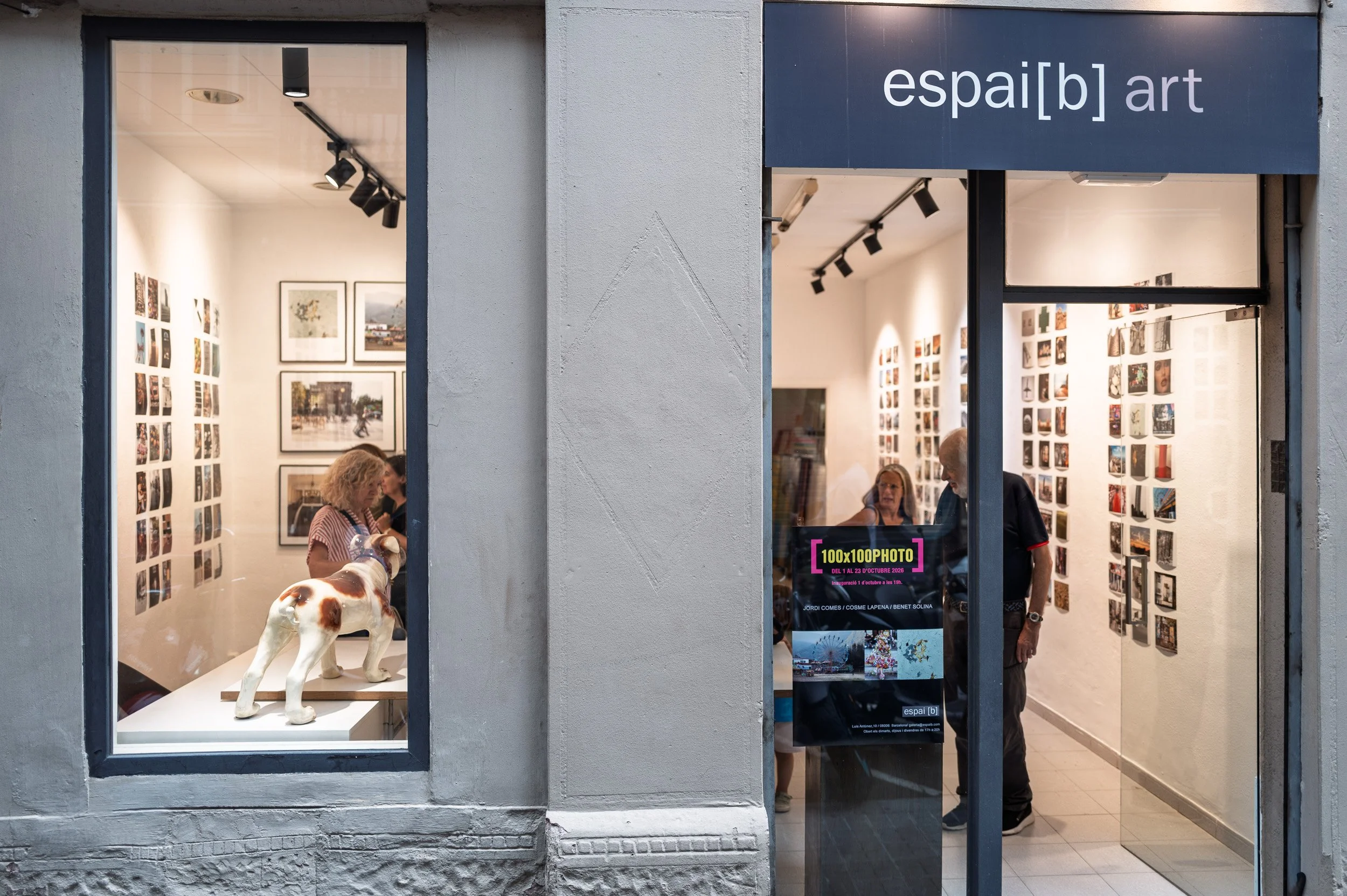 Gallery shopfront at dusk with photographs on the walls and a ceramic dog in the window — Leica Q3
