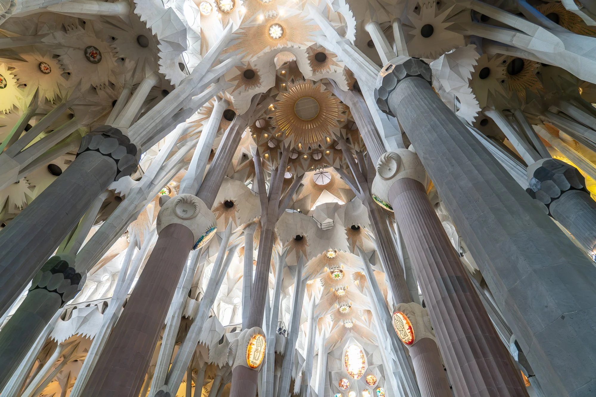 Sagrada Família interior columns branching into a forest-like ceiling — bCLPhoto
