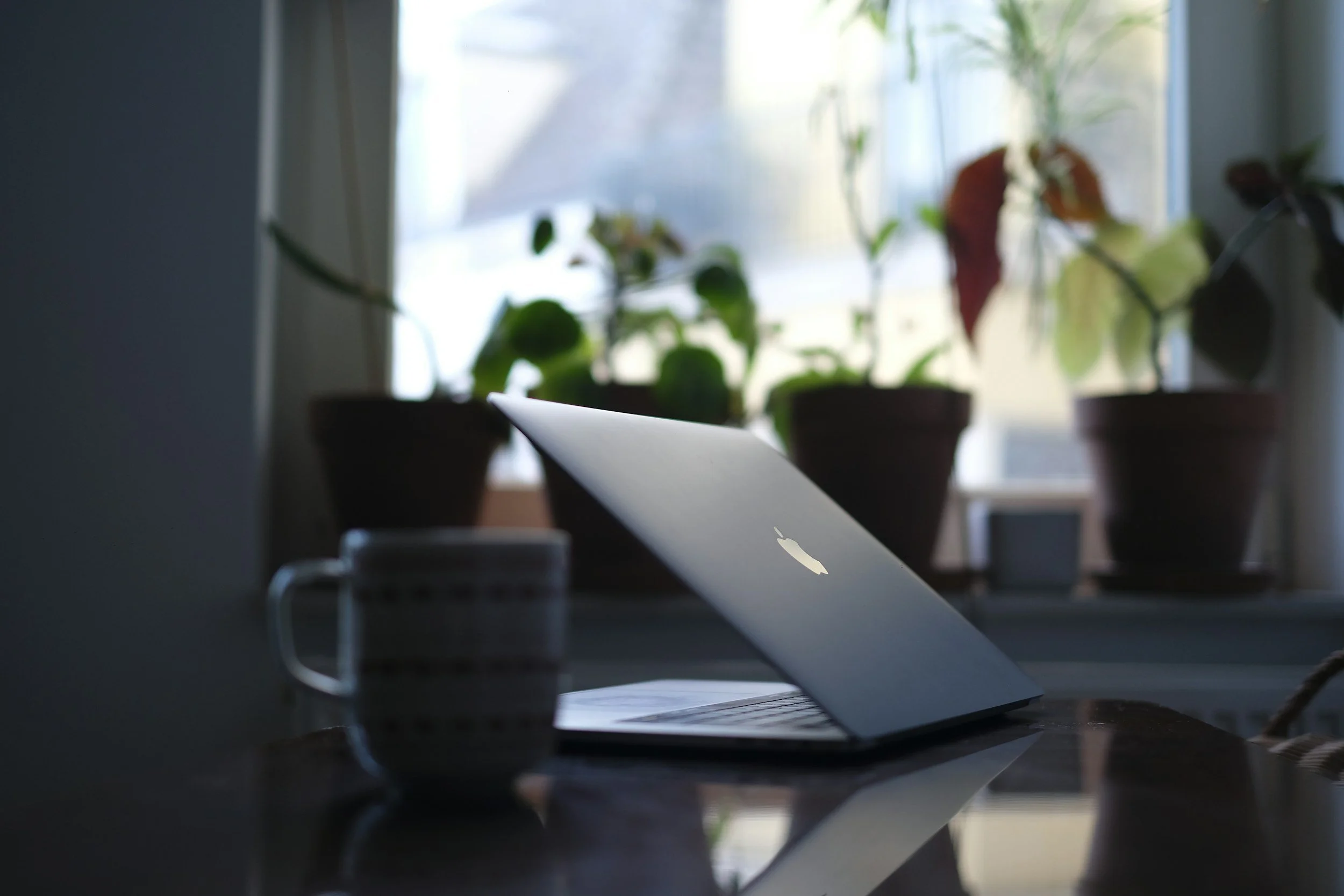 A partially open MacBook laptop on a wooden table with a mug in the foreground, plants on the windowsill behind, and a bright window in the background.