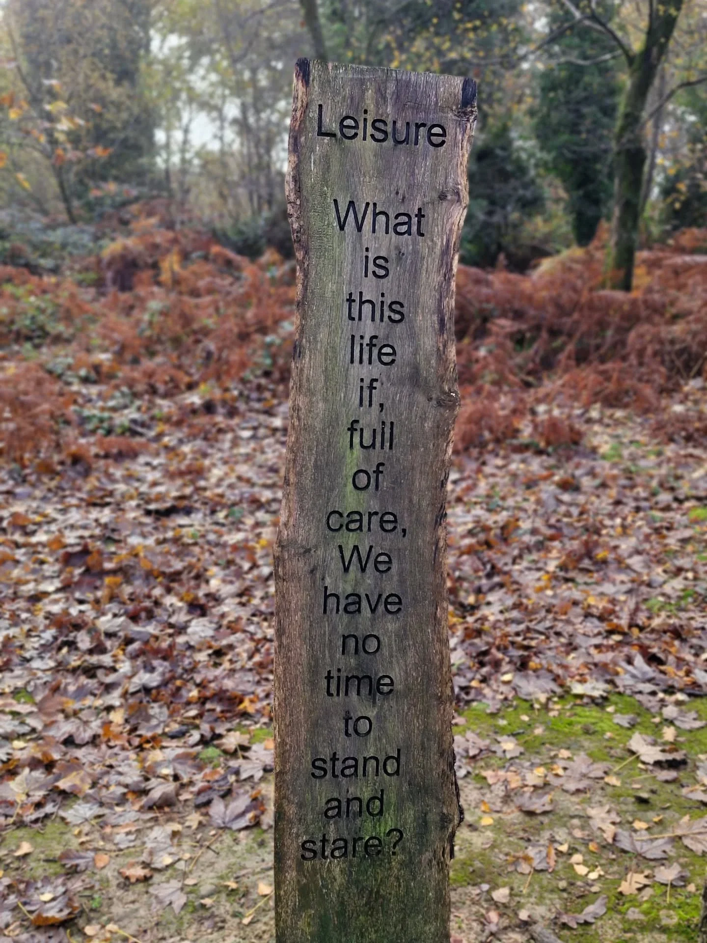 I stumbled across this poem in our local national park the other day and it genuinely stopped me in my tracks ➡️ Read it all, go on.. i'll wait. 

&ldquo;What is this life if, full of care,
We have no time to stand and stare.&rdquo;

So many of us ar