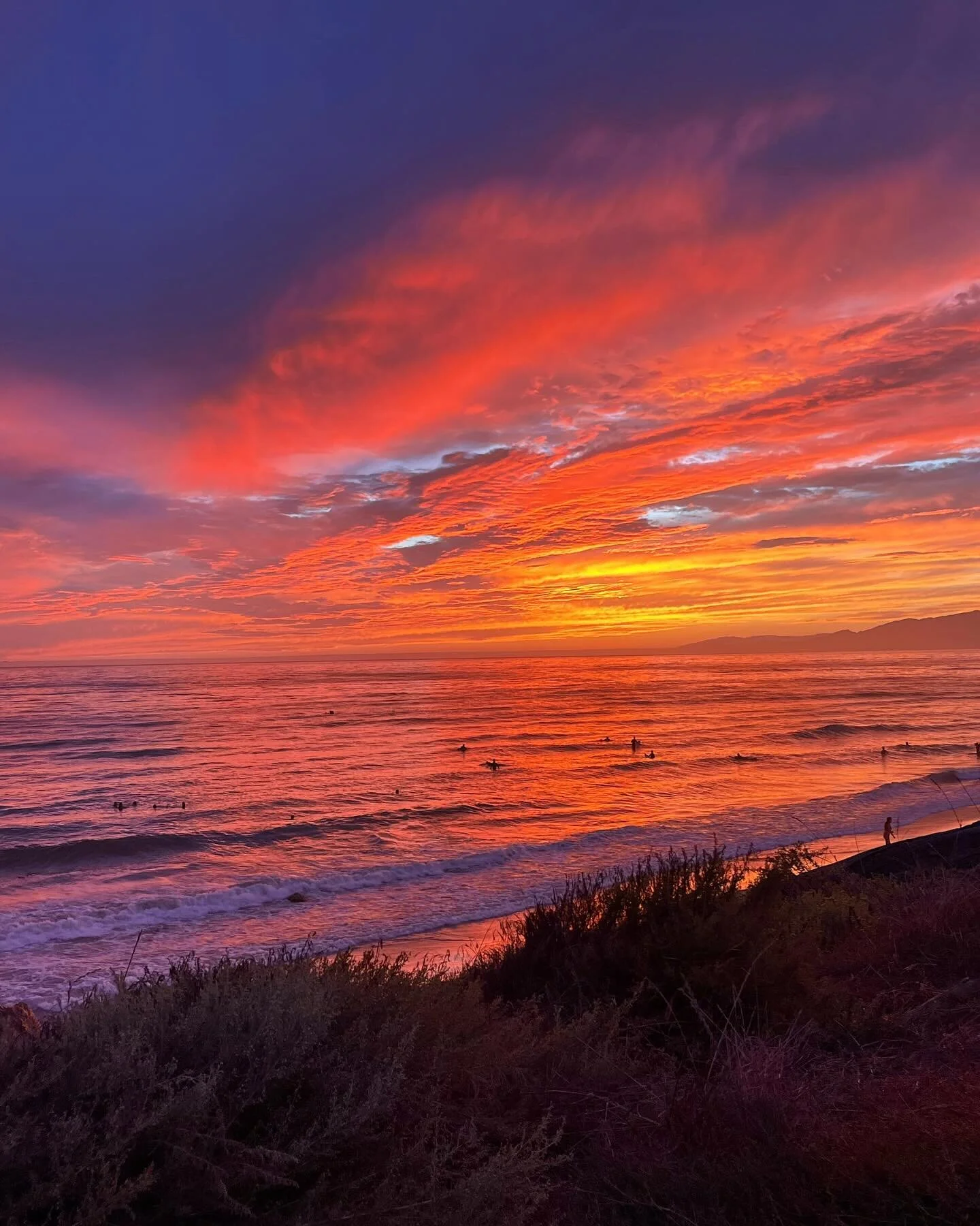 Solis Isla Vista Isla Vista Apartments Near UCSB
