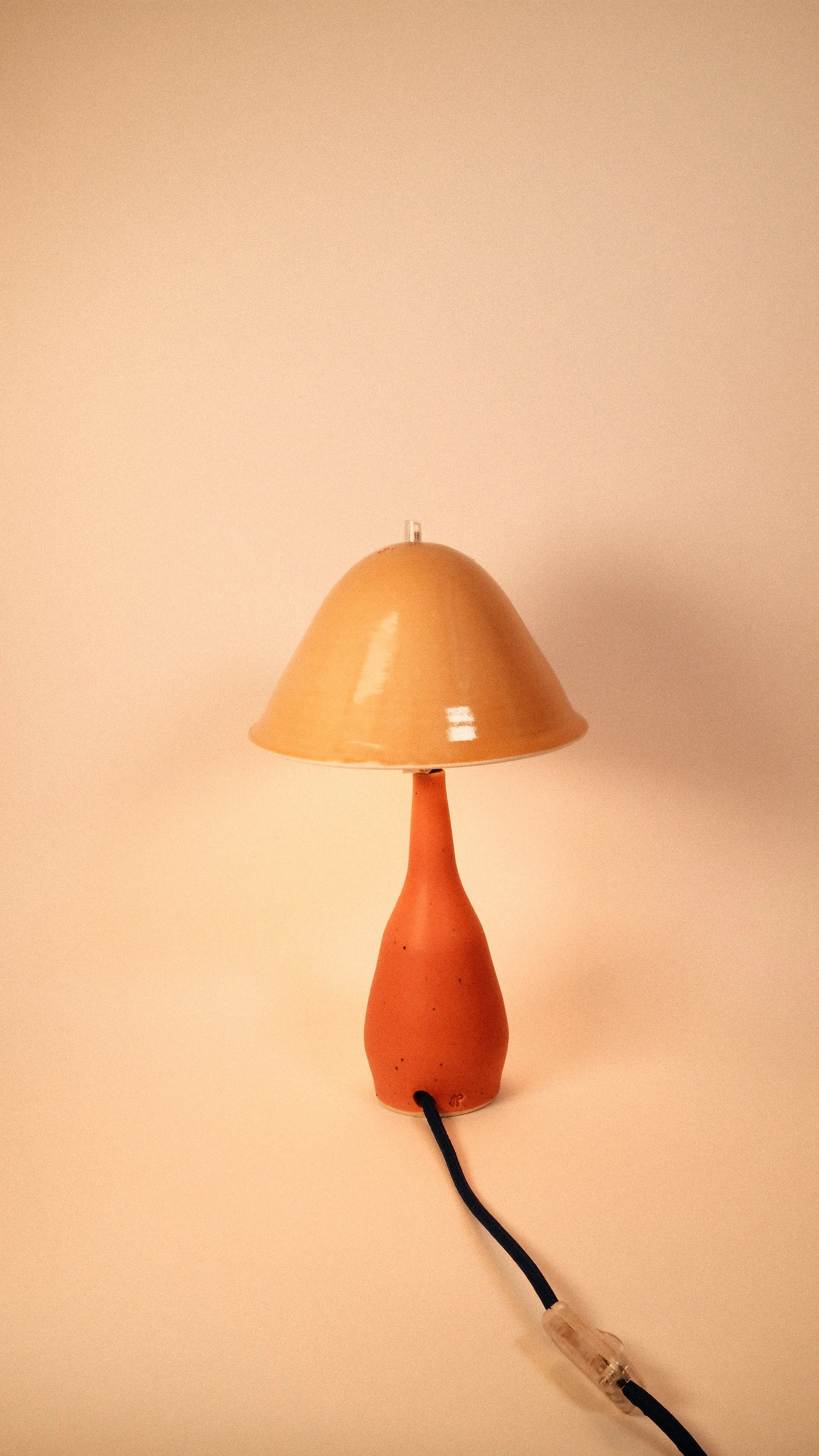 DSCF4906 3.JPG