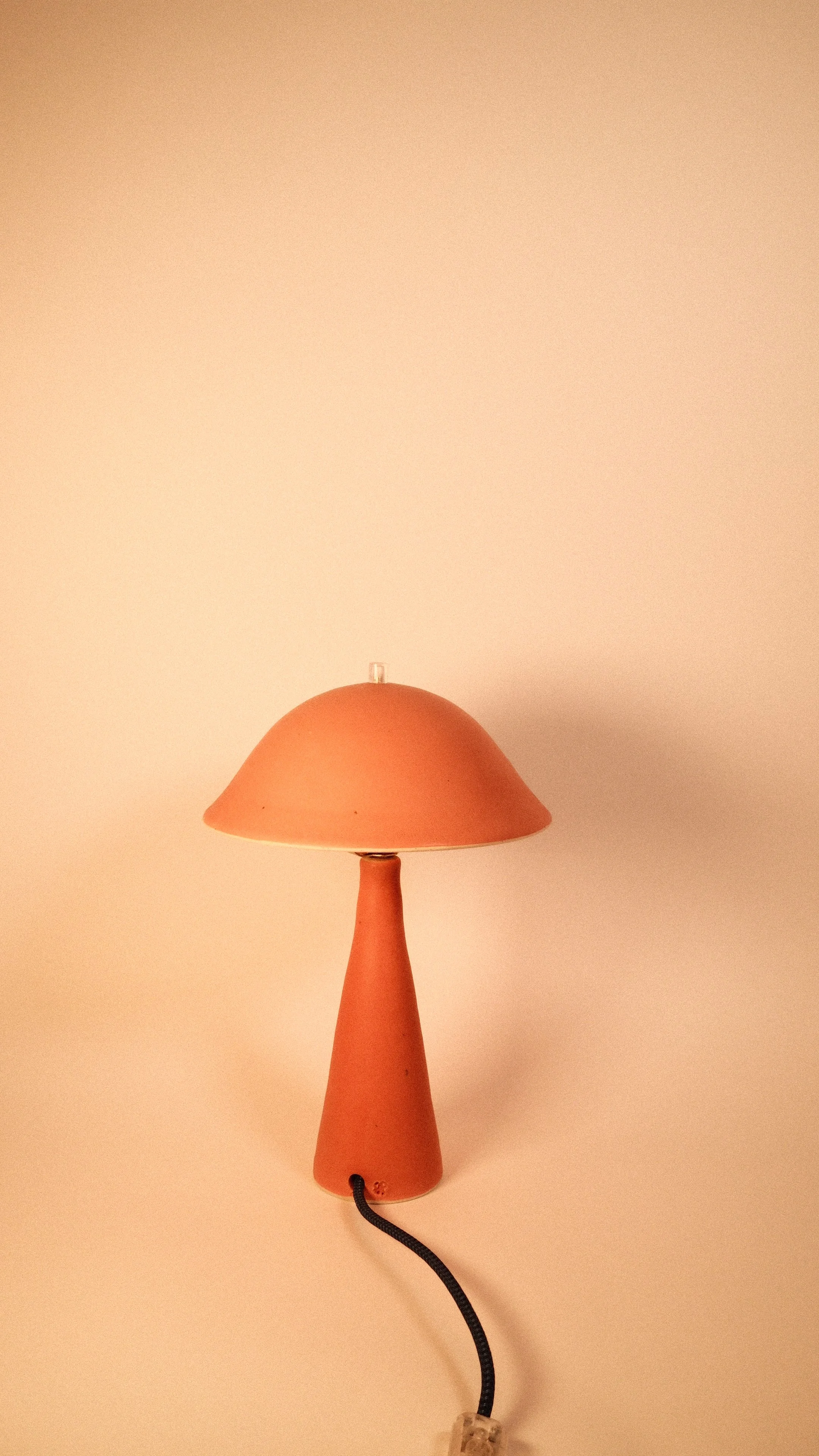 DSCF4927 3.JPG