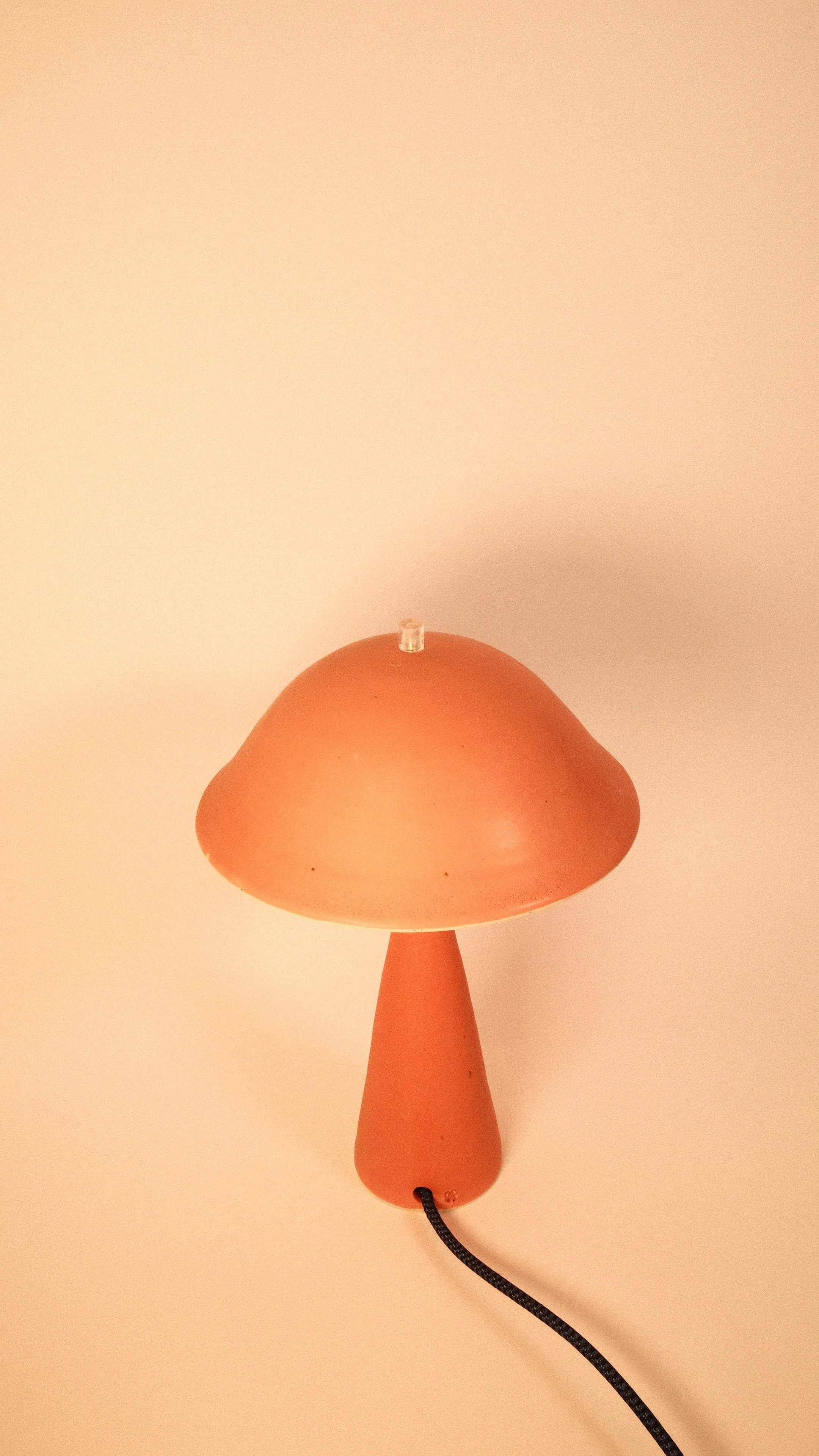 DSCF4920 3.JPG