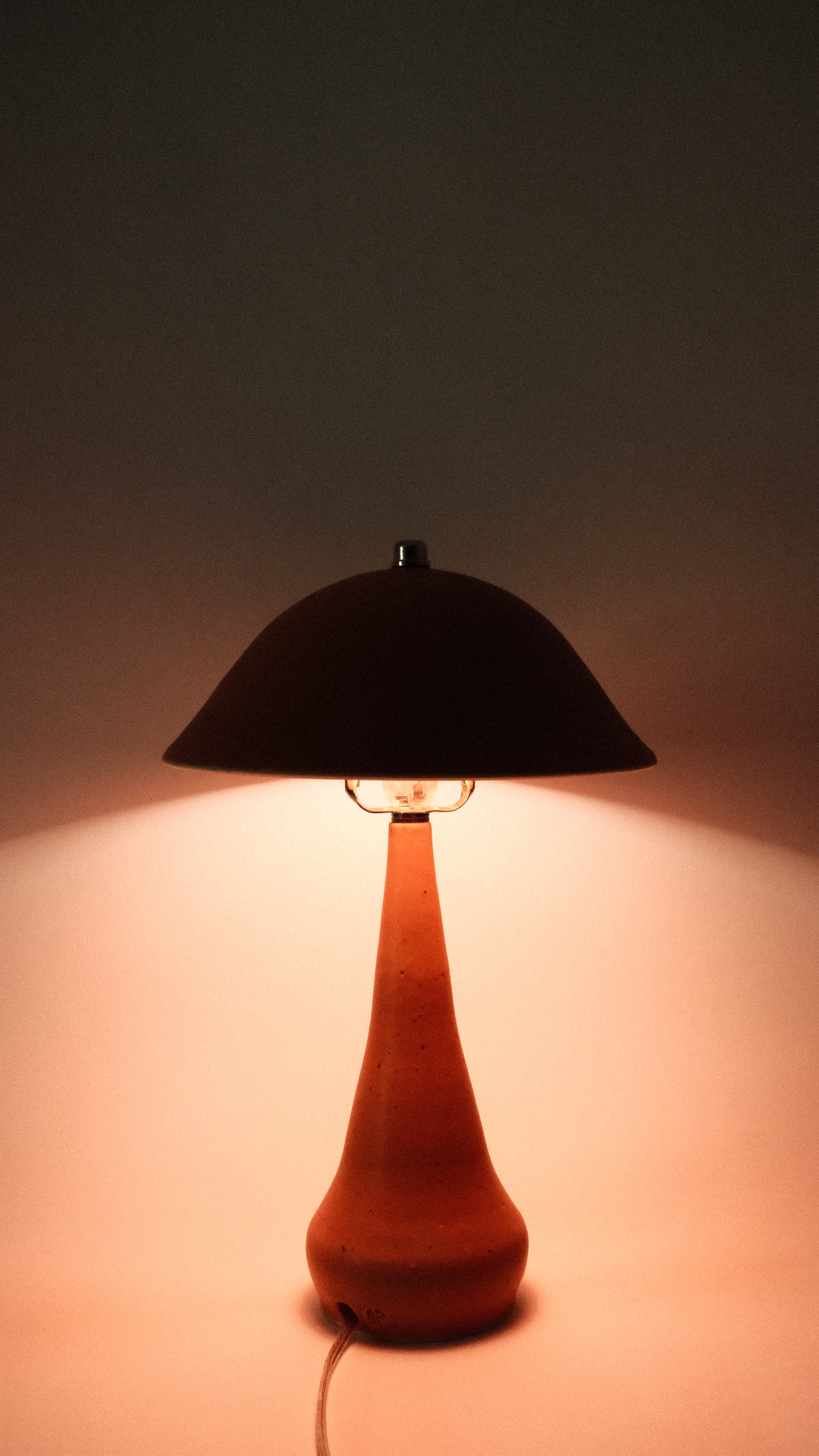 DSCF5230 4.JPG