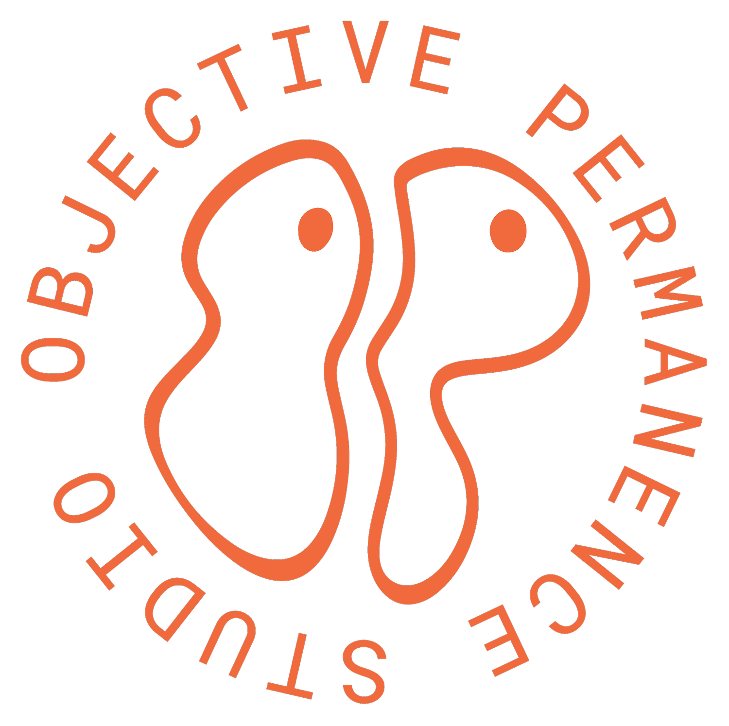 Objective Permanence