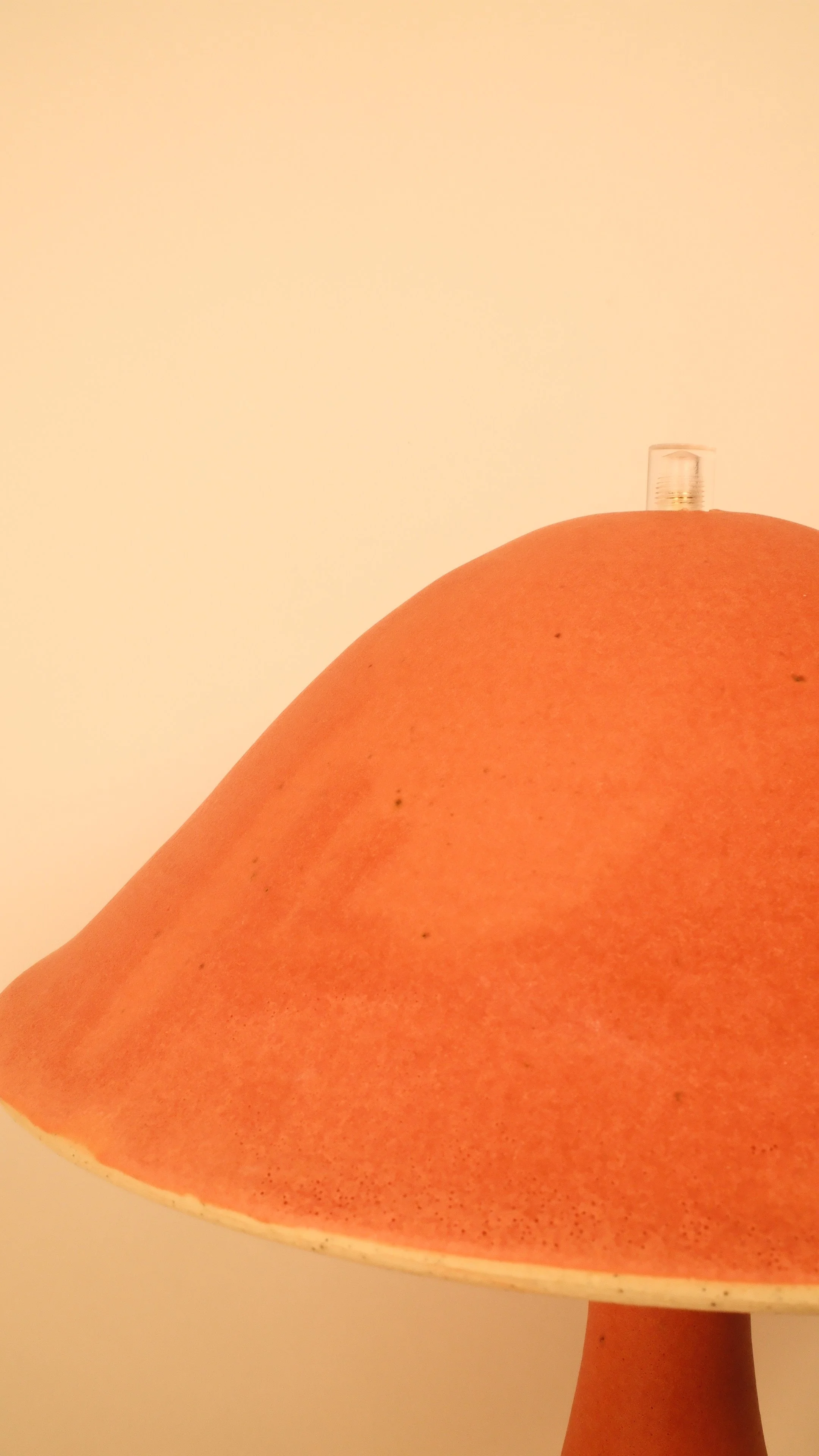 DSCF5194 4.JPG