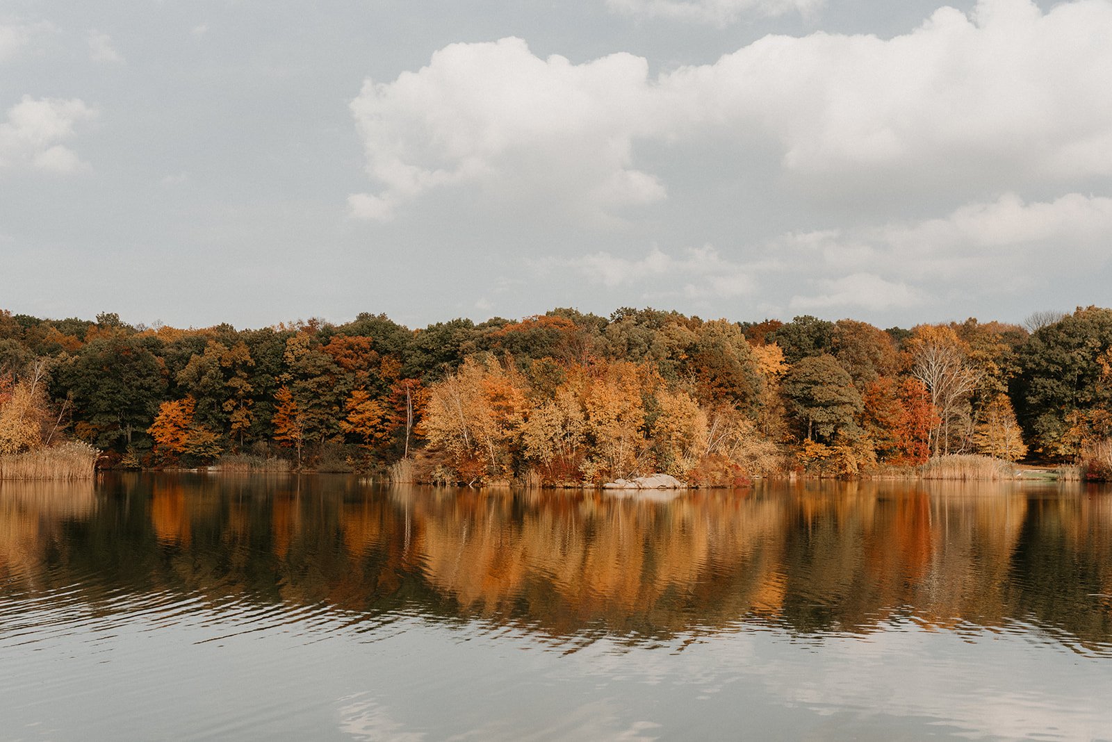 Lake Fall Foliage.jpg